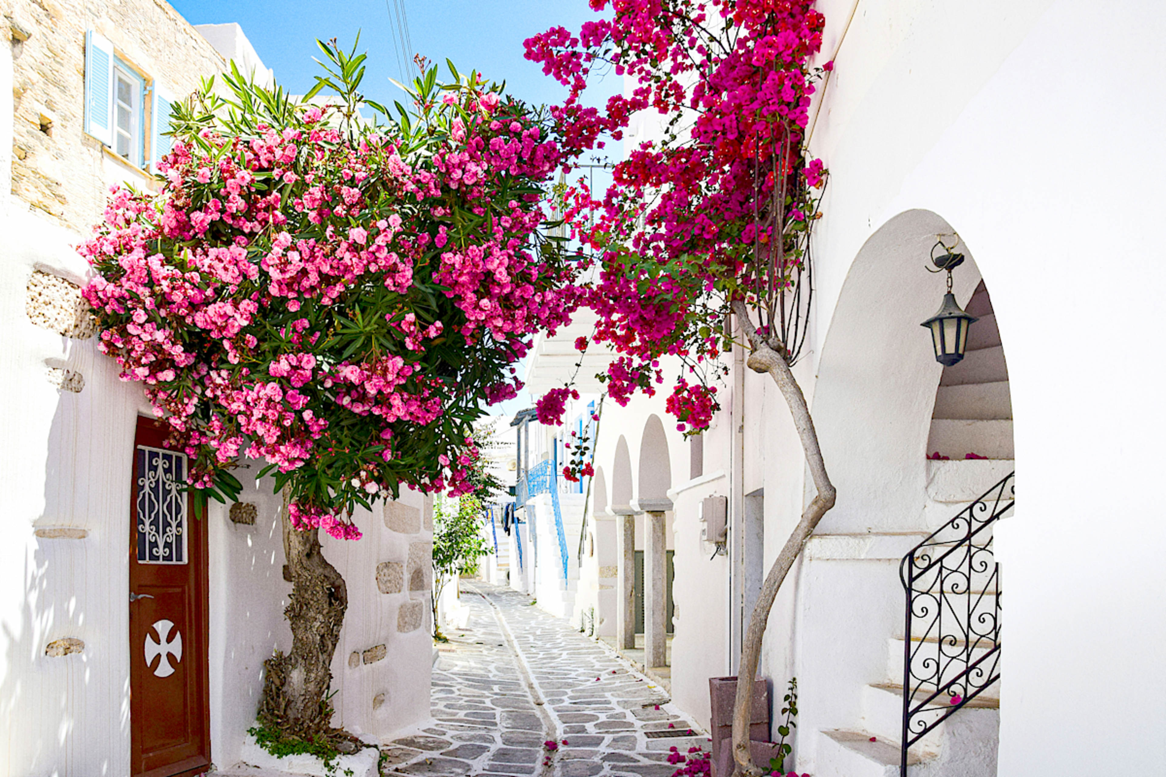 The Ultimate Greece Cruise & Private Tour Experience
