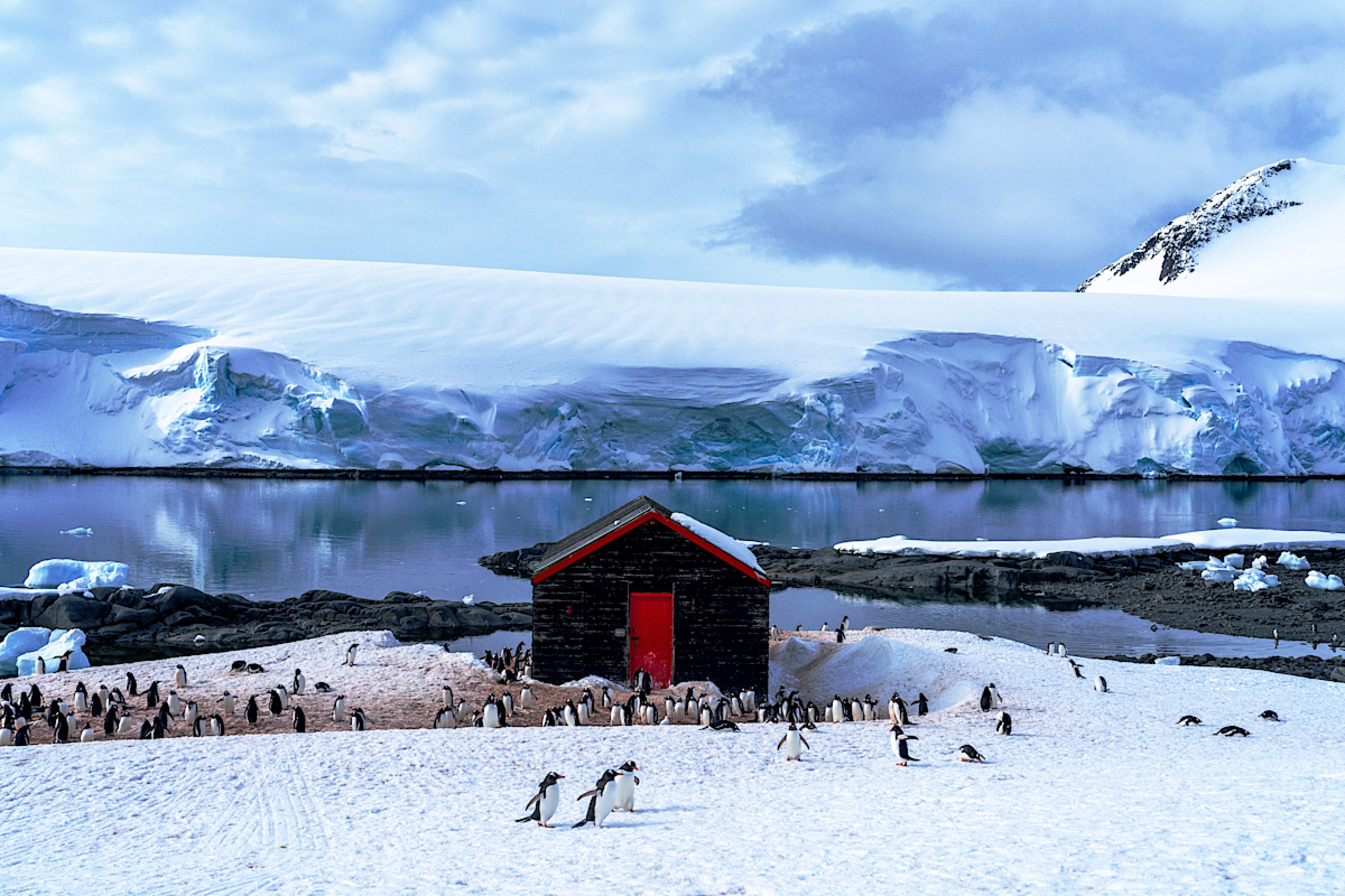 Nigel Killeen The Ultimate Antarctica Cruise & Private Tour Experience