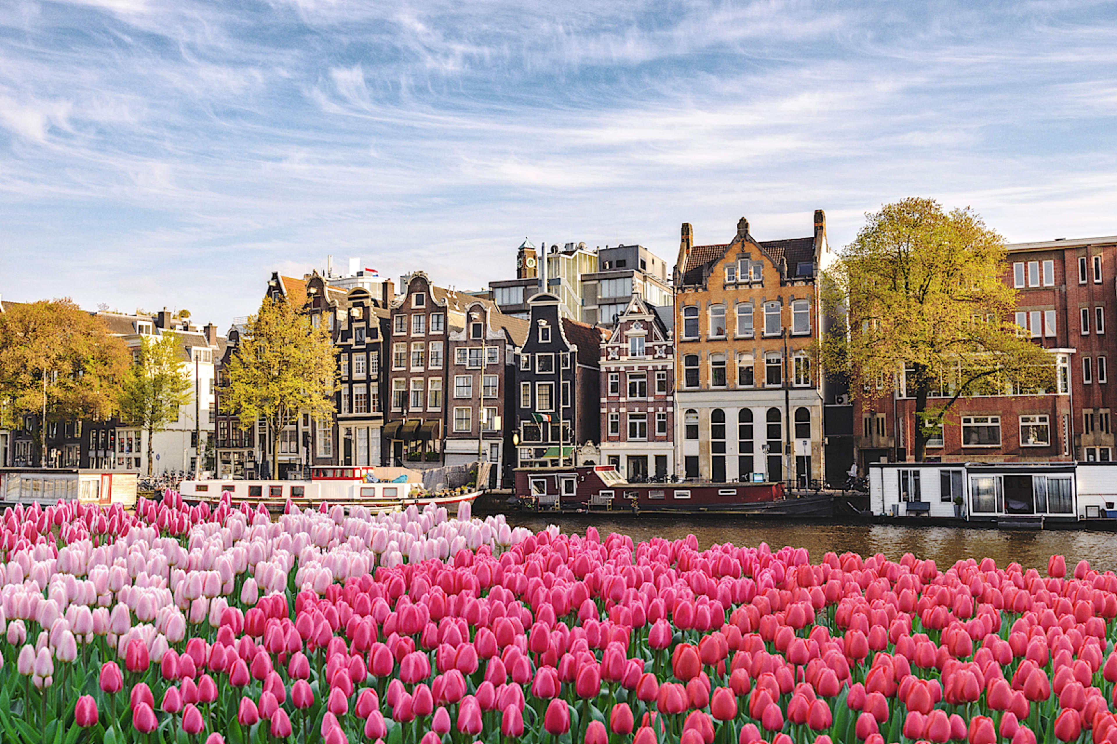 Noppasin Wongchum The Ultimate Europe Cruise & Private Tour Experience