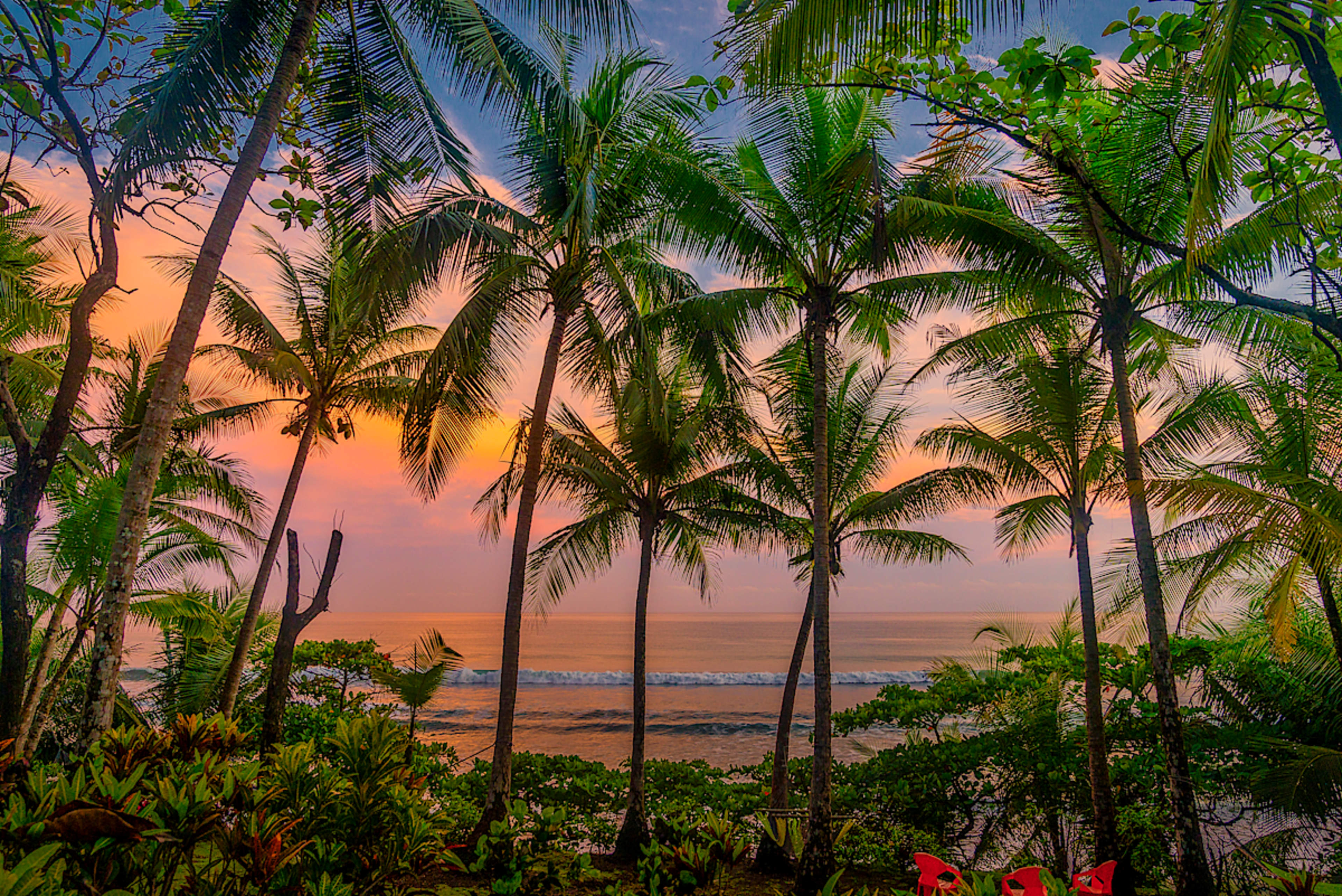 A Private Journey Between Canopy and Sea