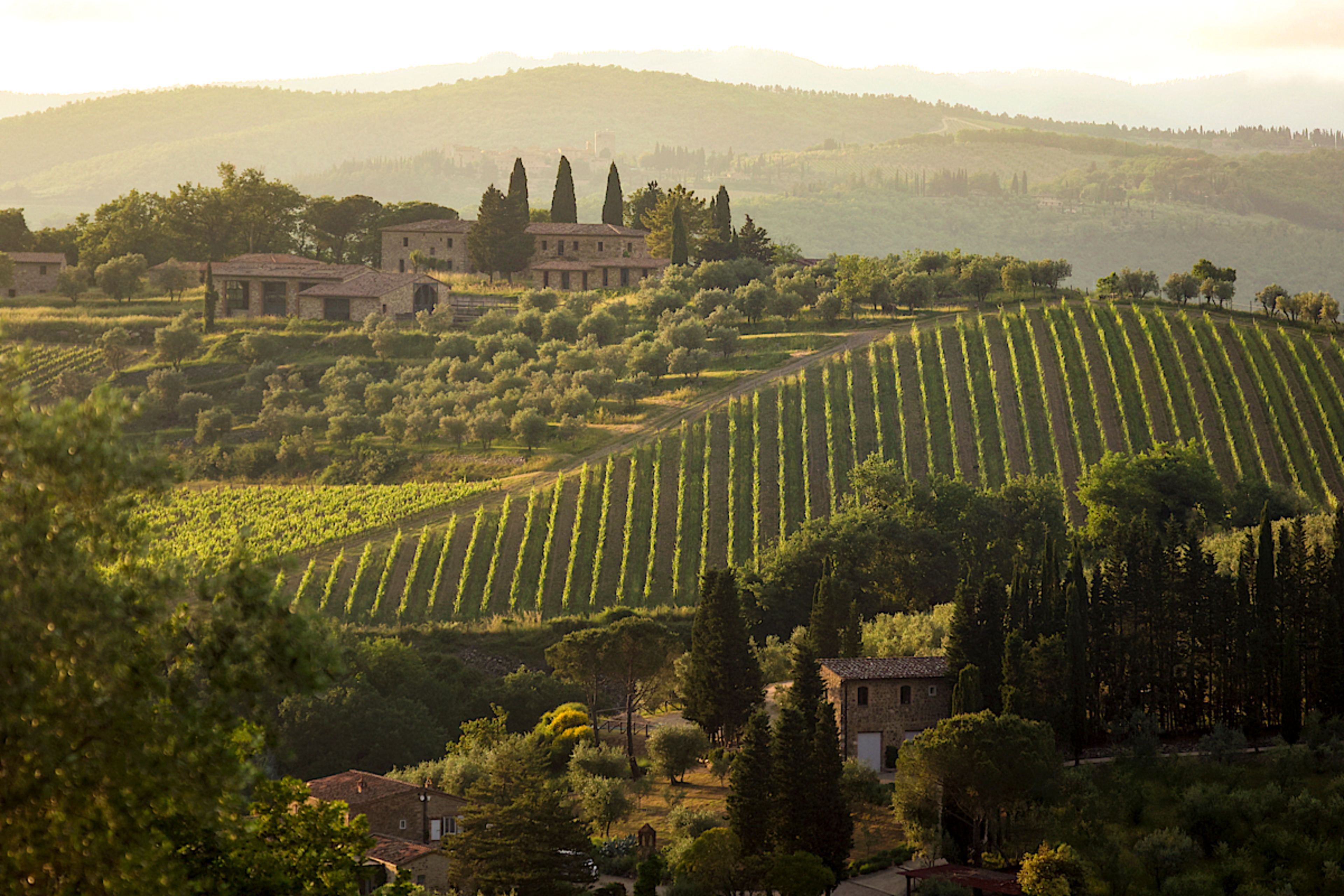 GoodLifeStudio Rolling Hills, Vineyards & Timeless Villages
