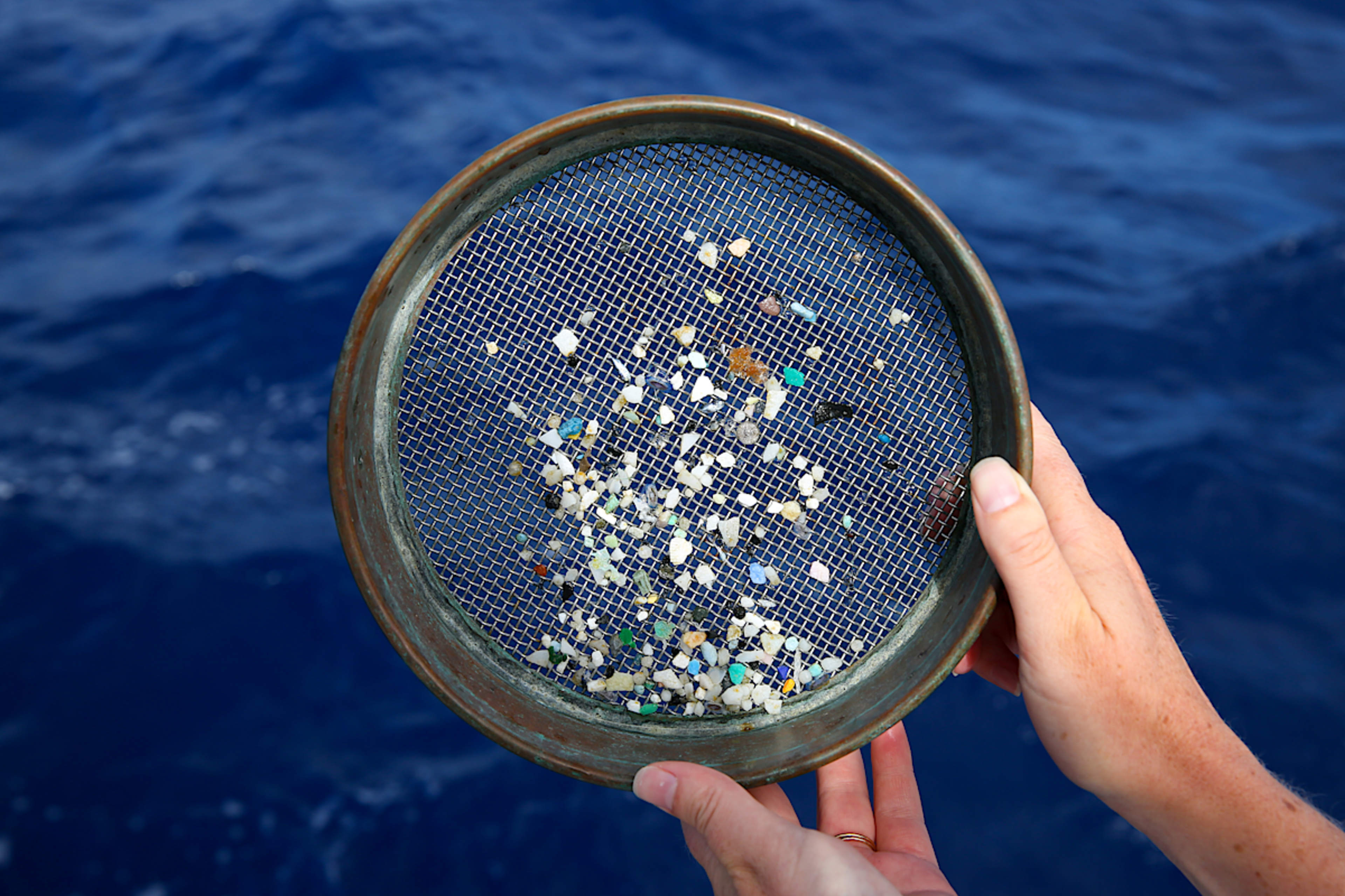 Ocean-focused research missions where people discover their role in tackling plastic pollution 