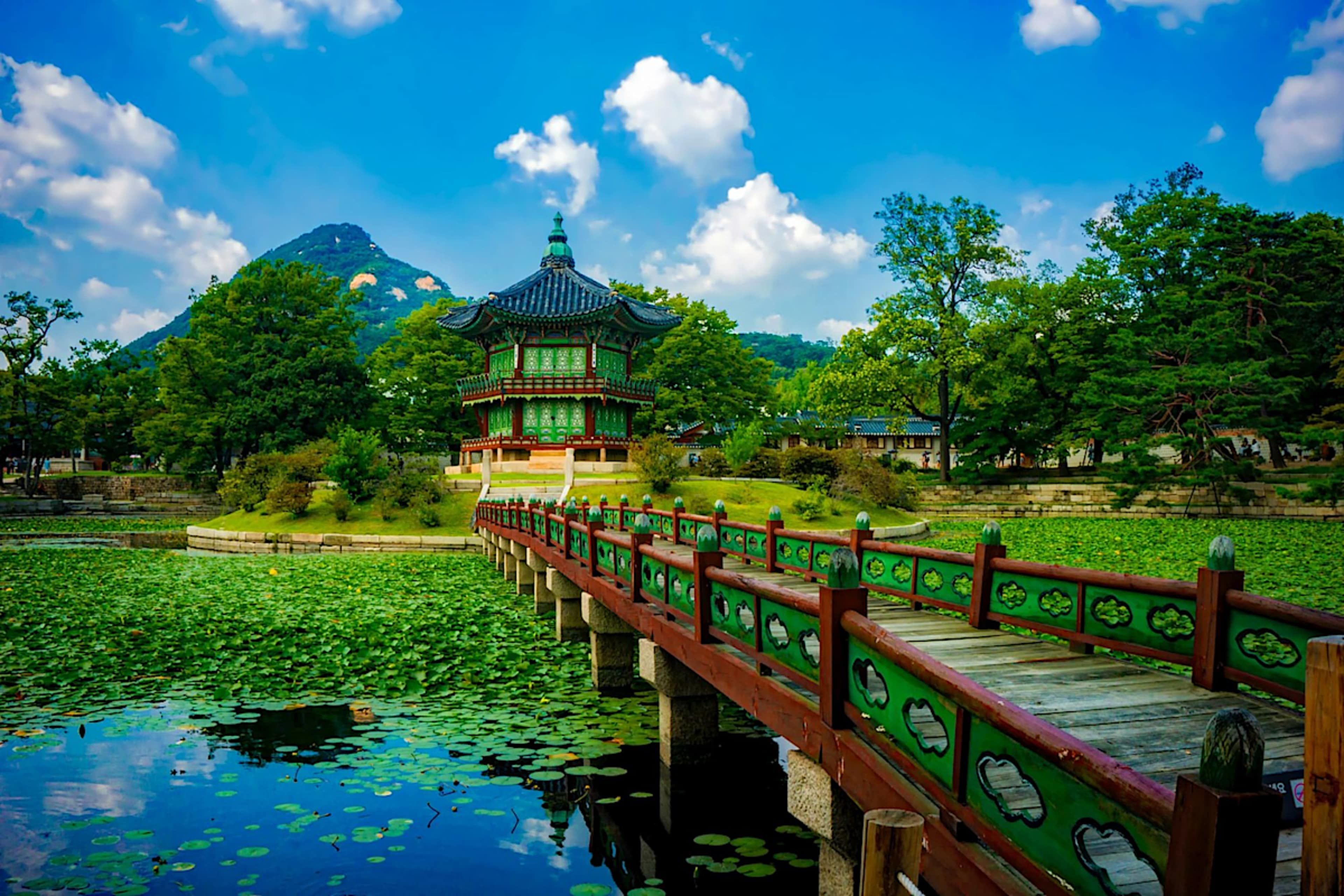 Explore South Korea with private guides and a tailor-made itinerary.