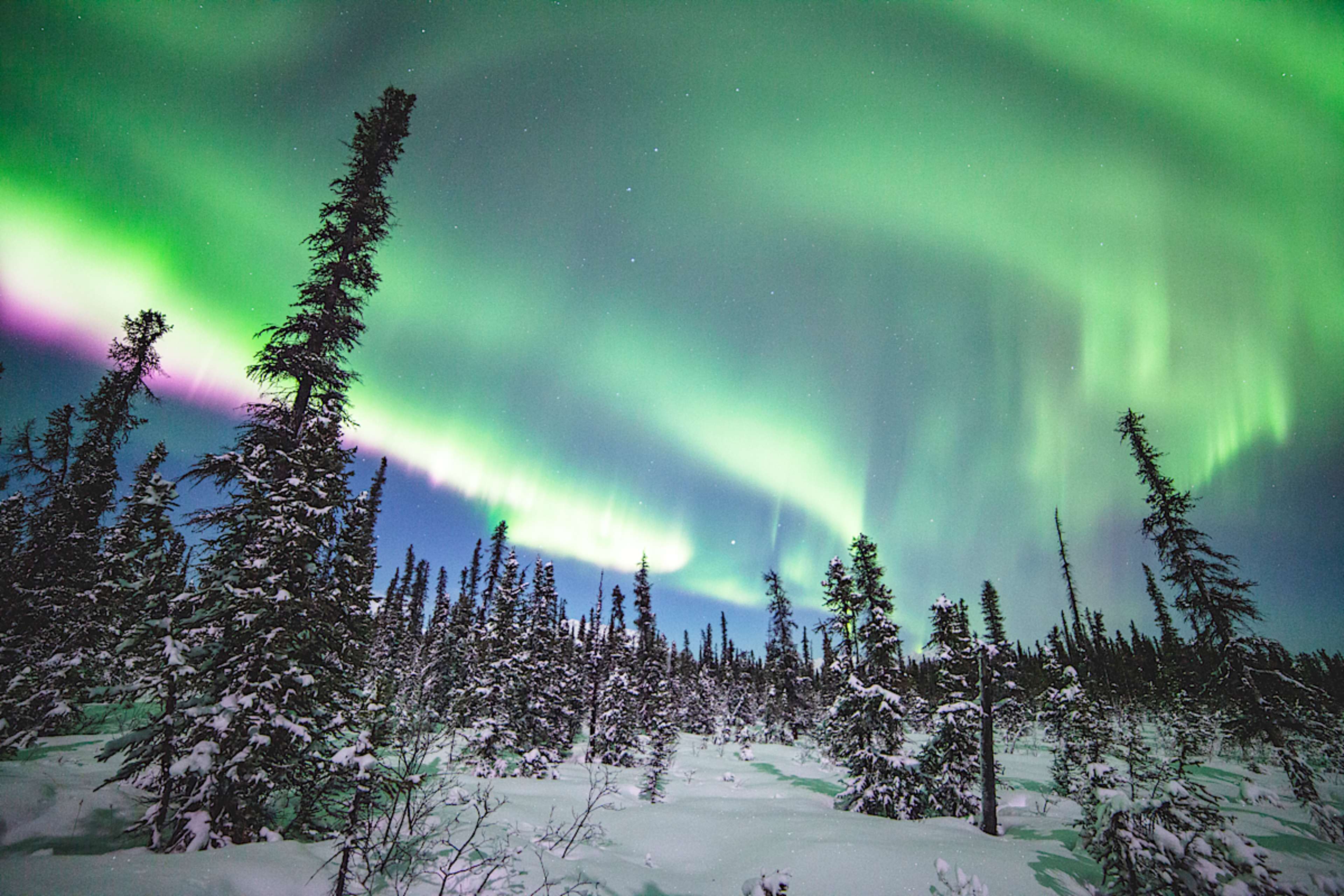 Explore Alaska with private guides and a tailor-made itinerary.