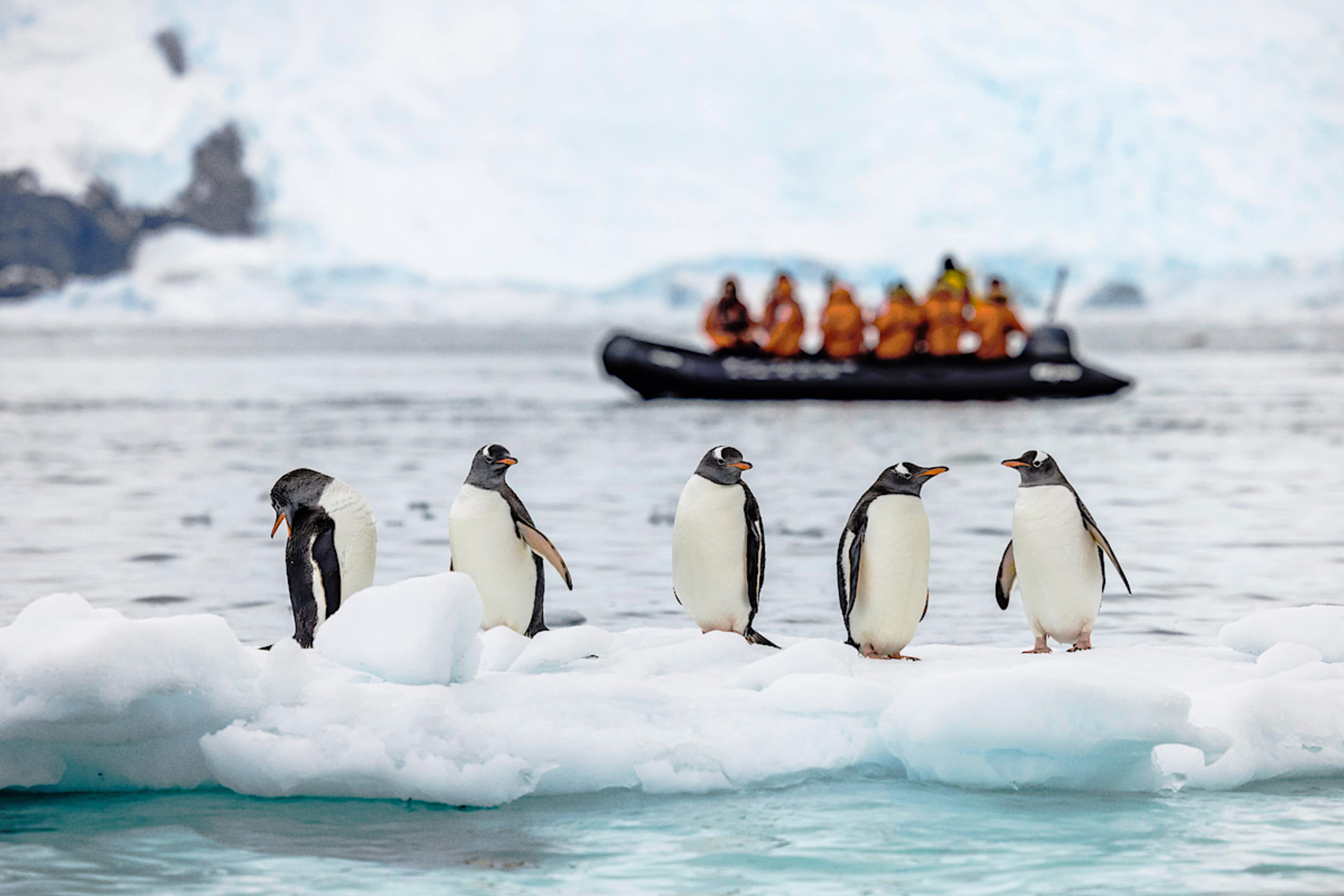 Luxury Antarctica Cruises