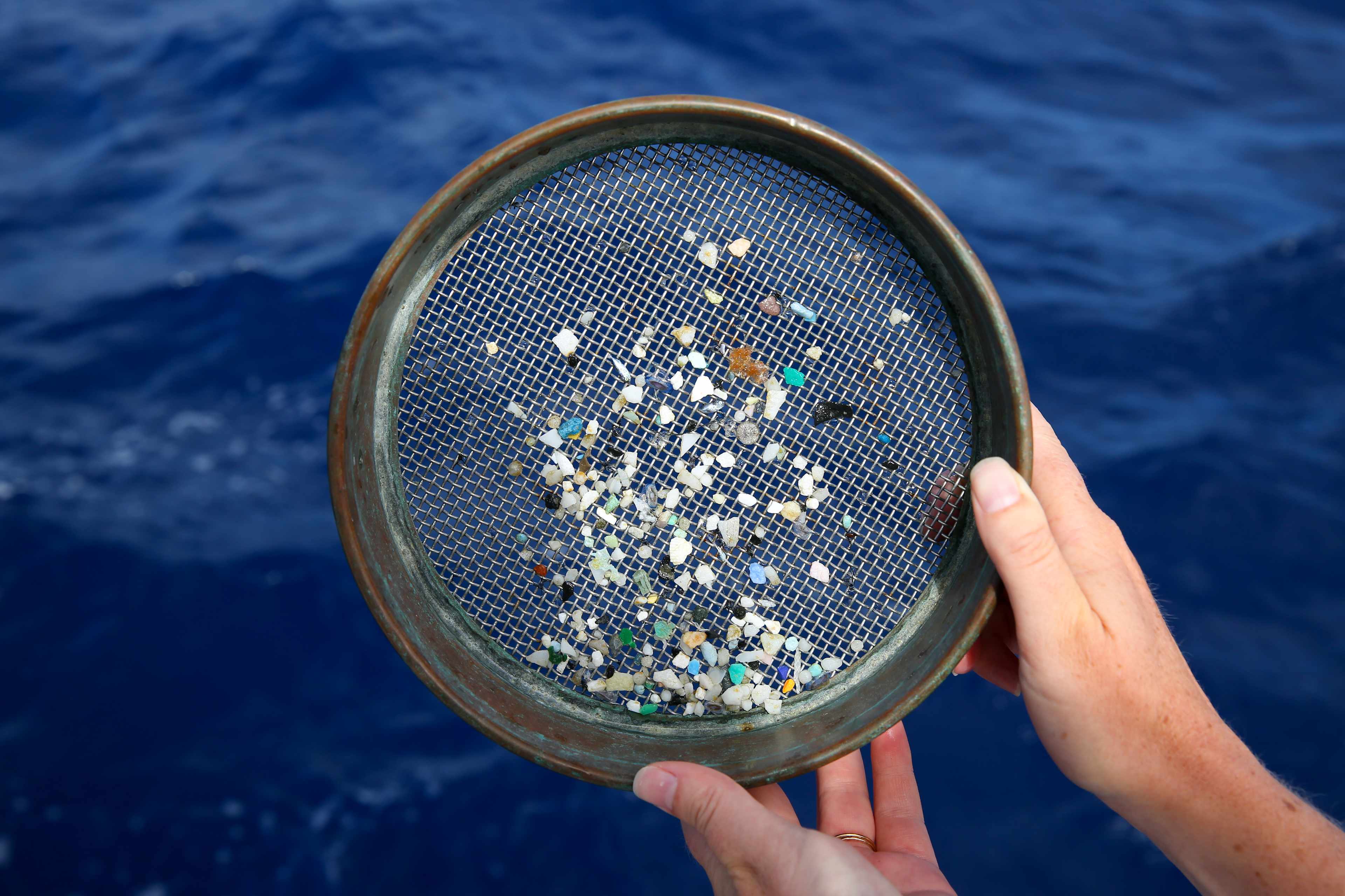 Ocean-focused research missions where people discover their role in tackling plastic pollution 