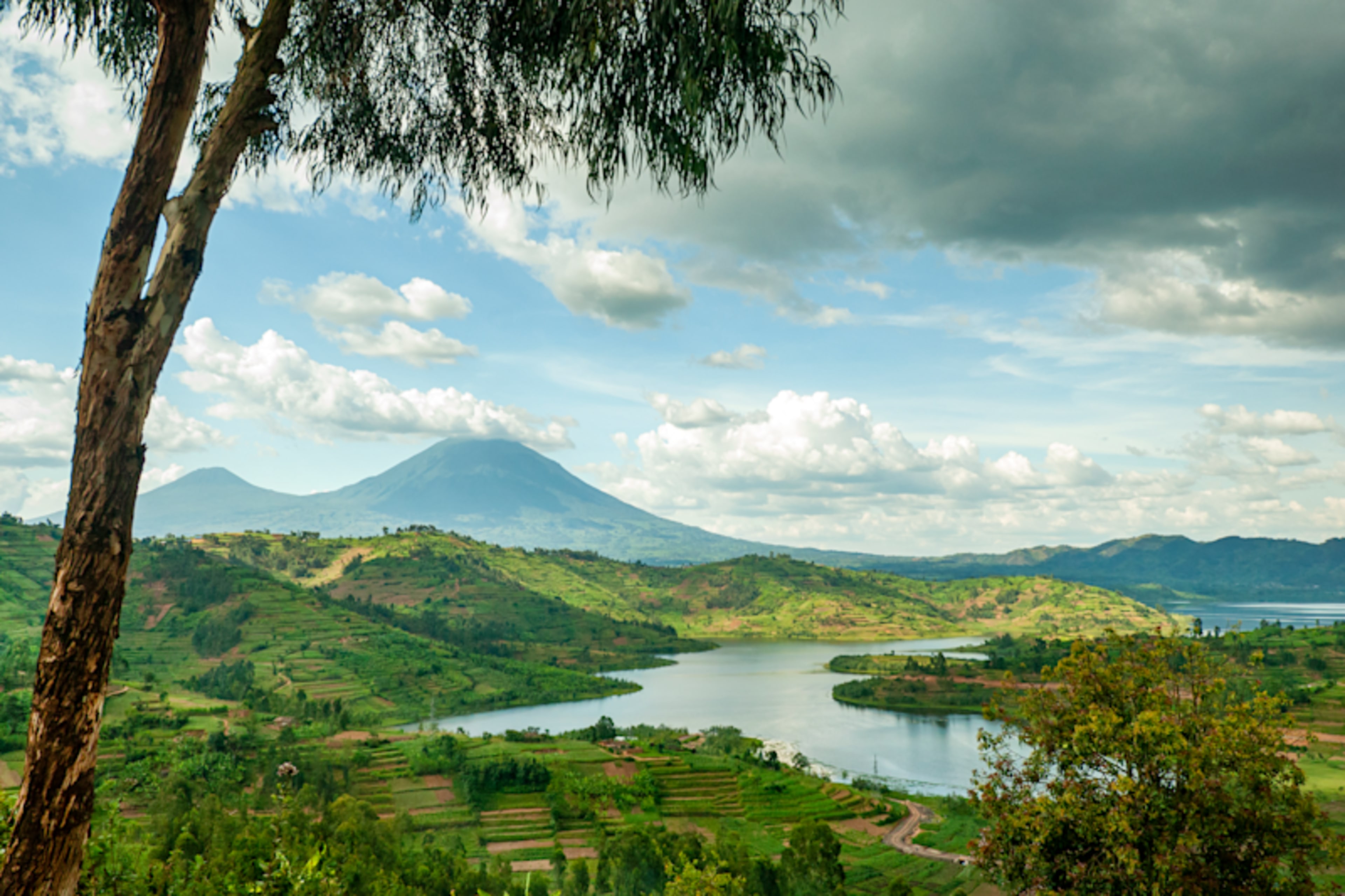 Wild Wonders of East Africa: Kenya, Tanzania & Rwanda