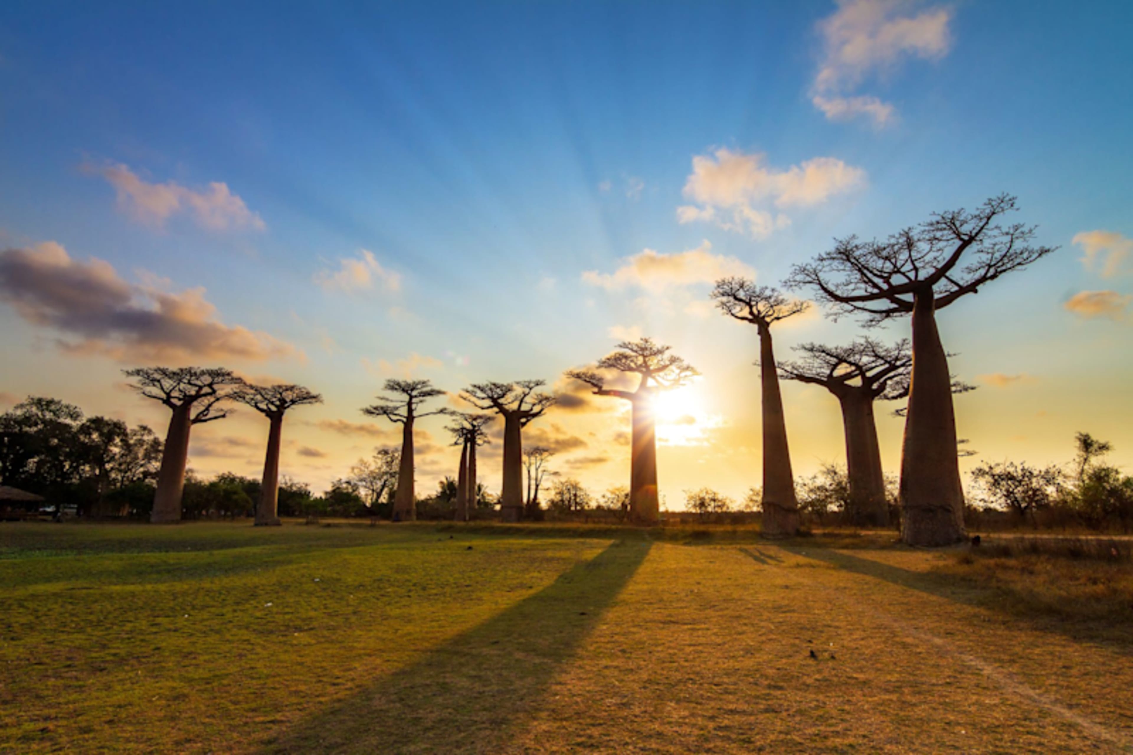 Want to build an itinerary from scratch?