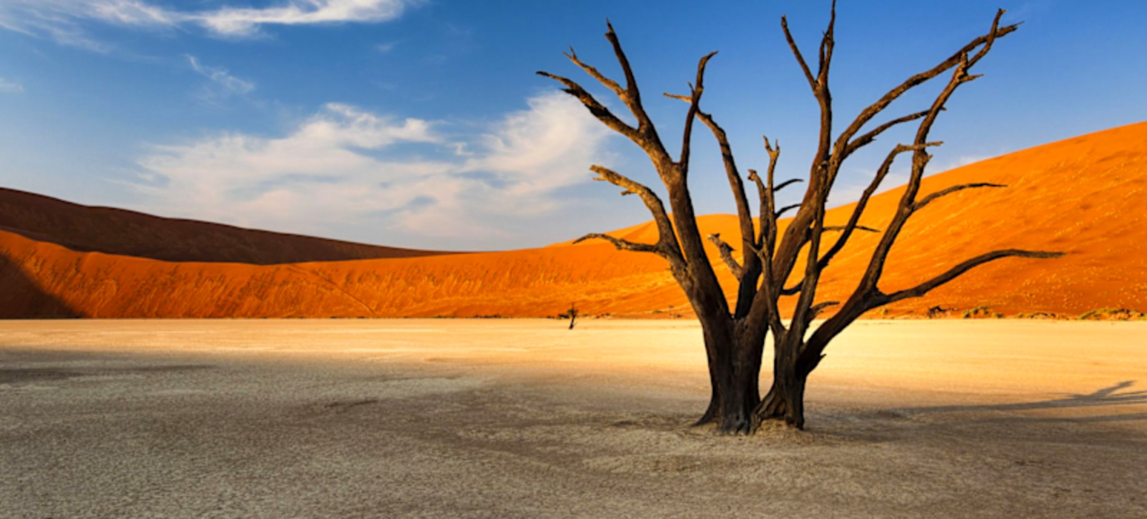 Want to build an itinerary from scratch?