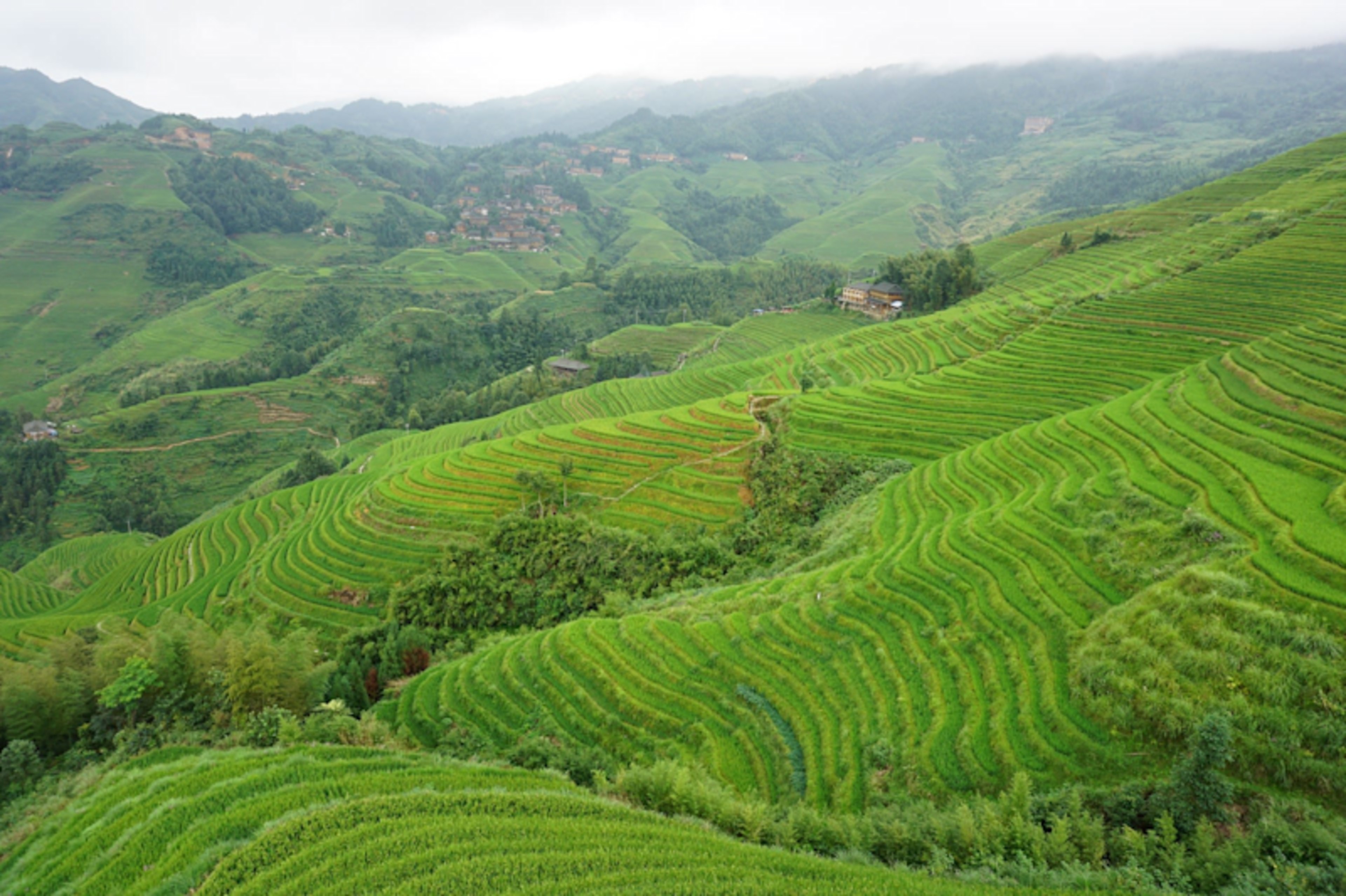 National Geographic Award Winning China Signature