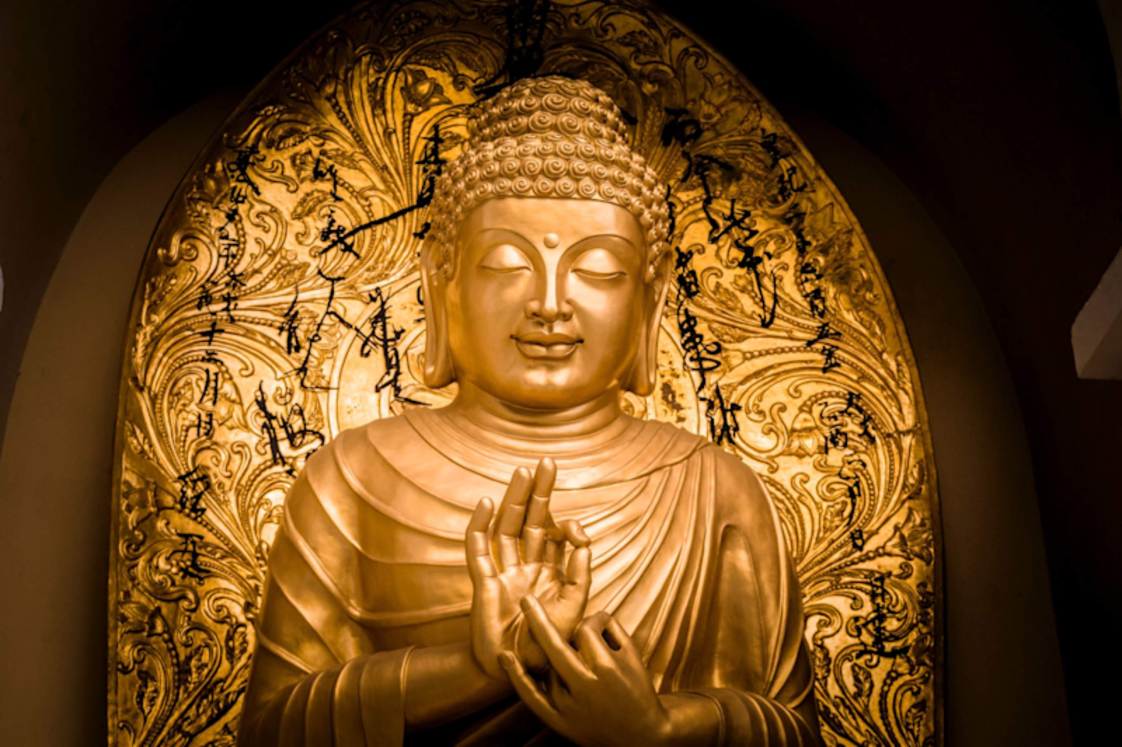 Highlights of Bhutan and India's Northeast