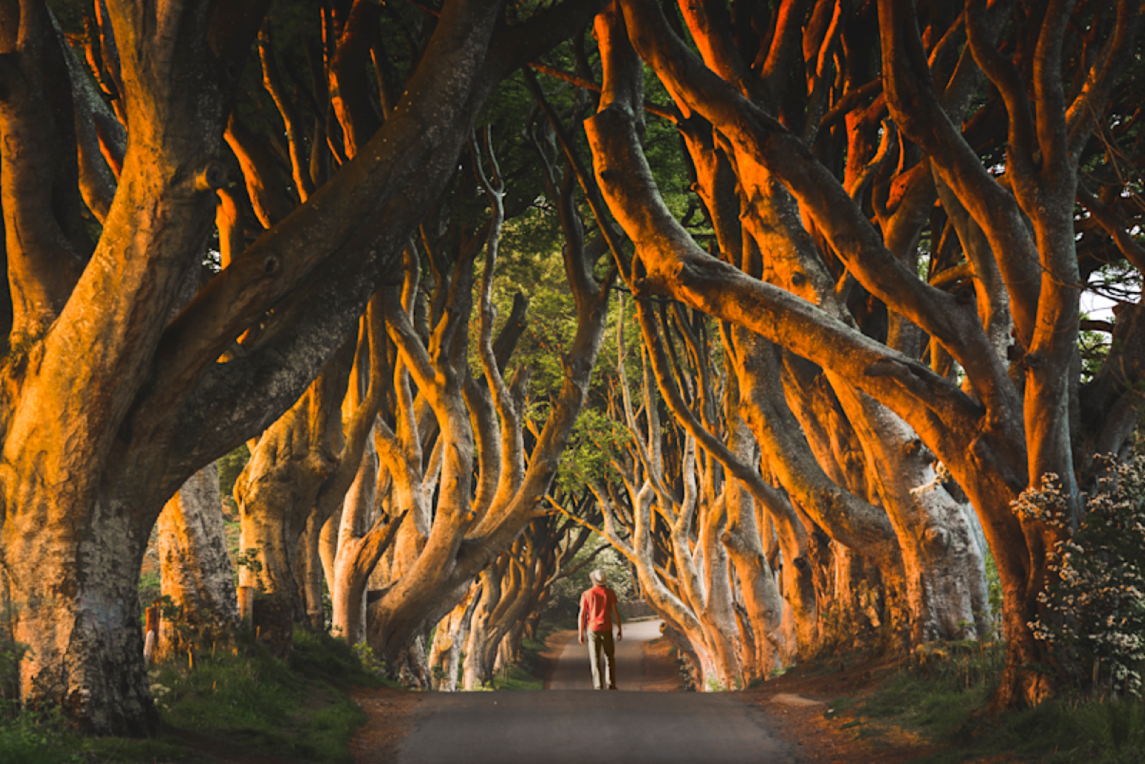 Coastal Heritage of Ireland & Northern Ireland