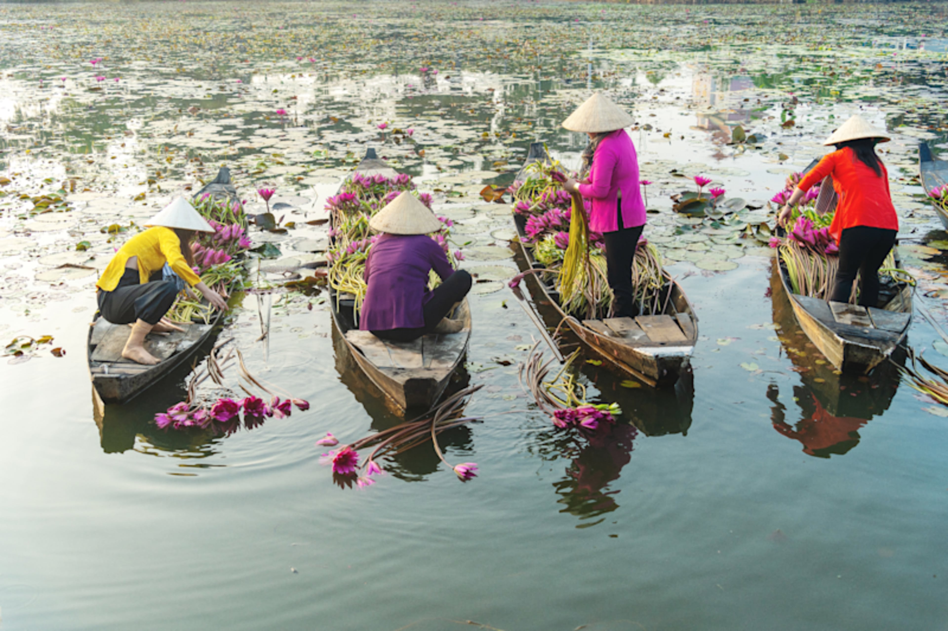 Thai Treasures: North & South