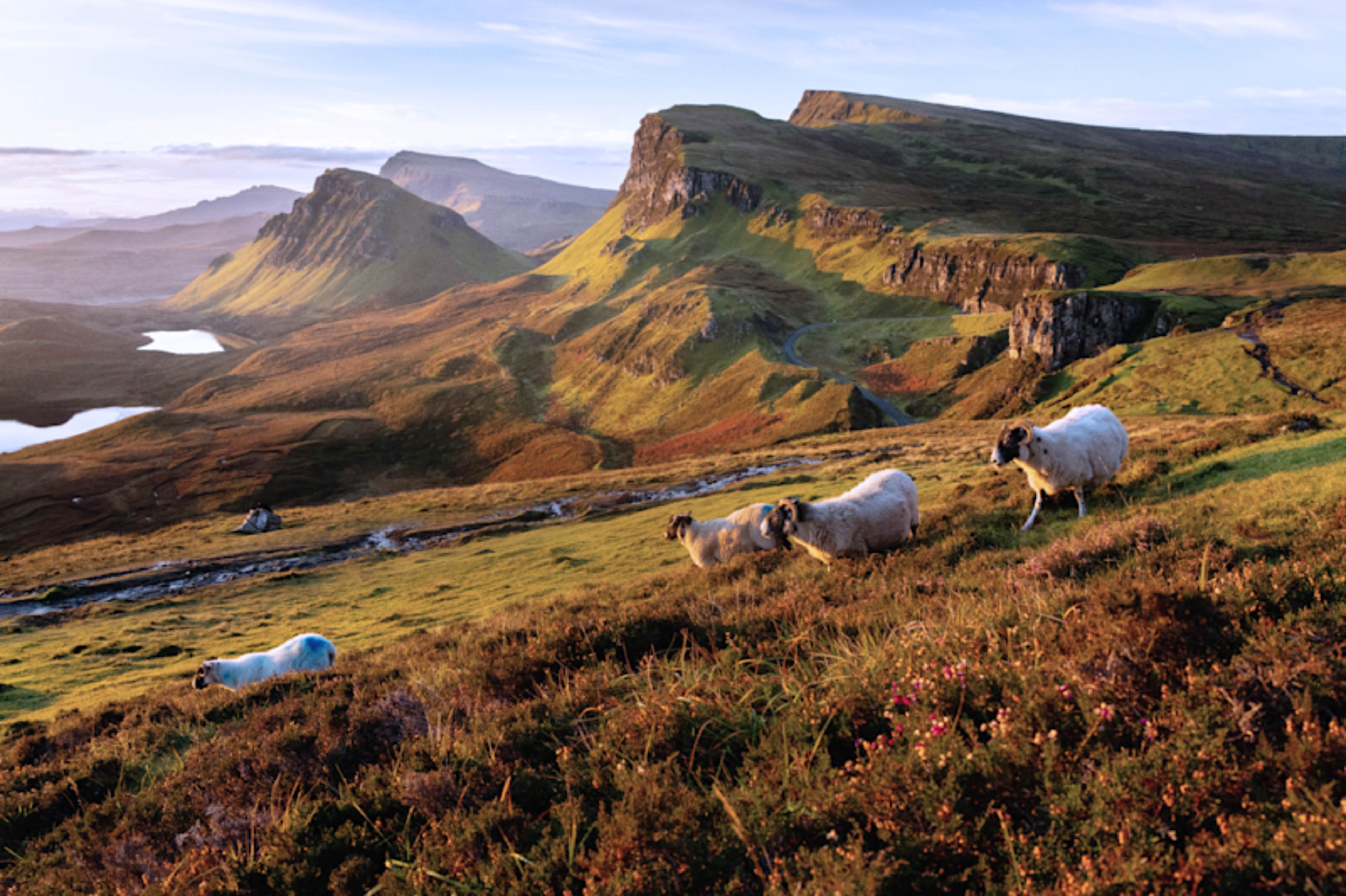 Scotland's Heart: Castles & Wild Highlands