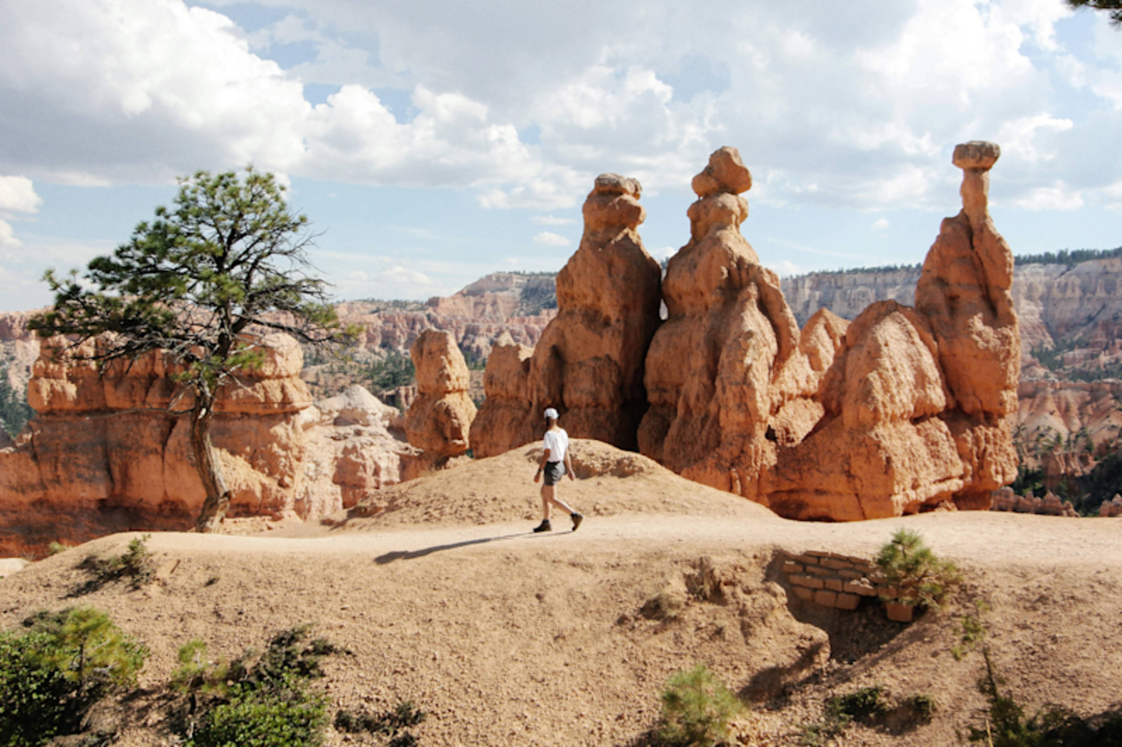 Active Bryce & Zion 