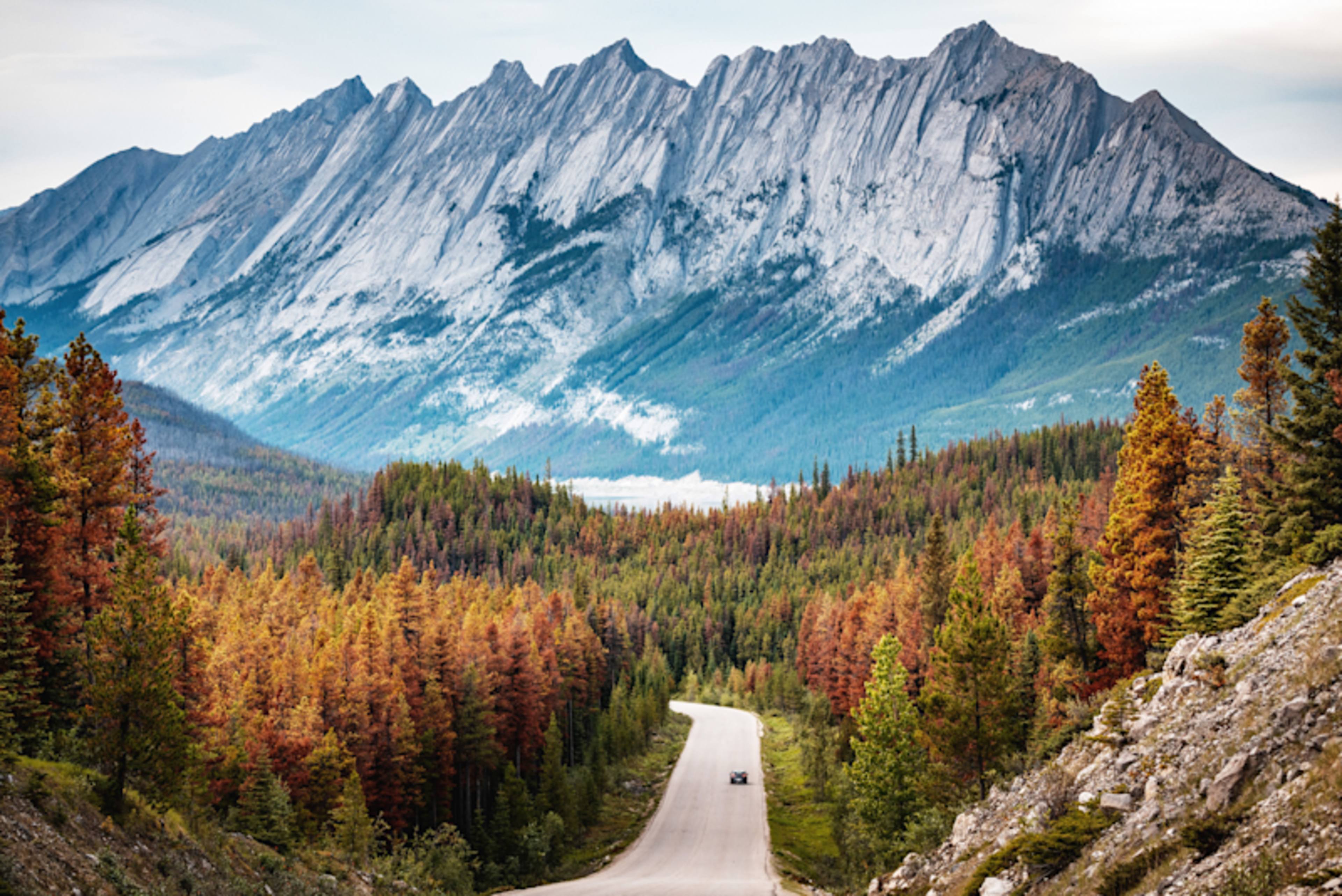 Rockies Road Trip: Banff to Jasper by Car