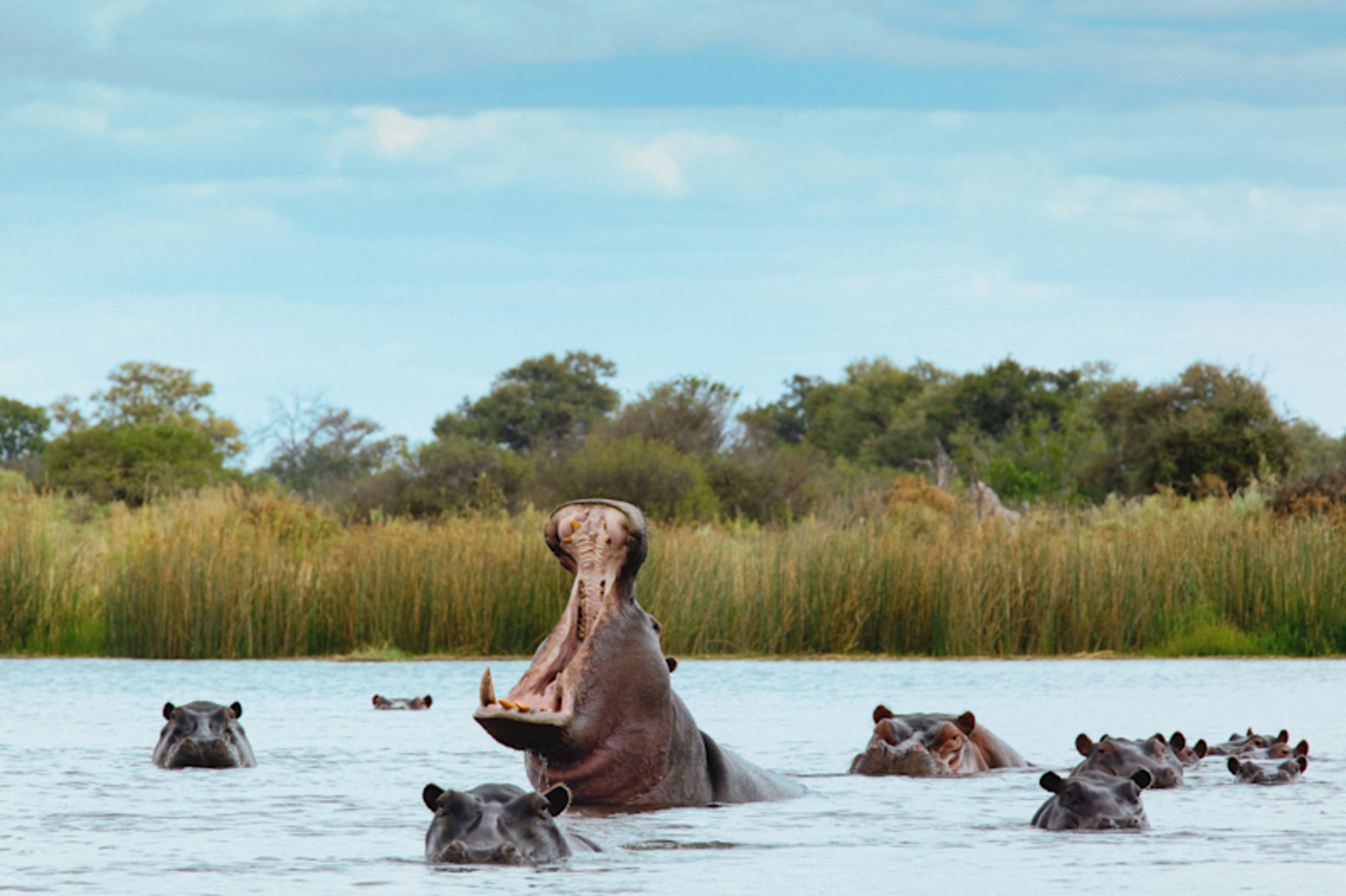 Off-the-Beaten-Path Tanzania & Mafia Island