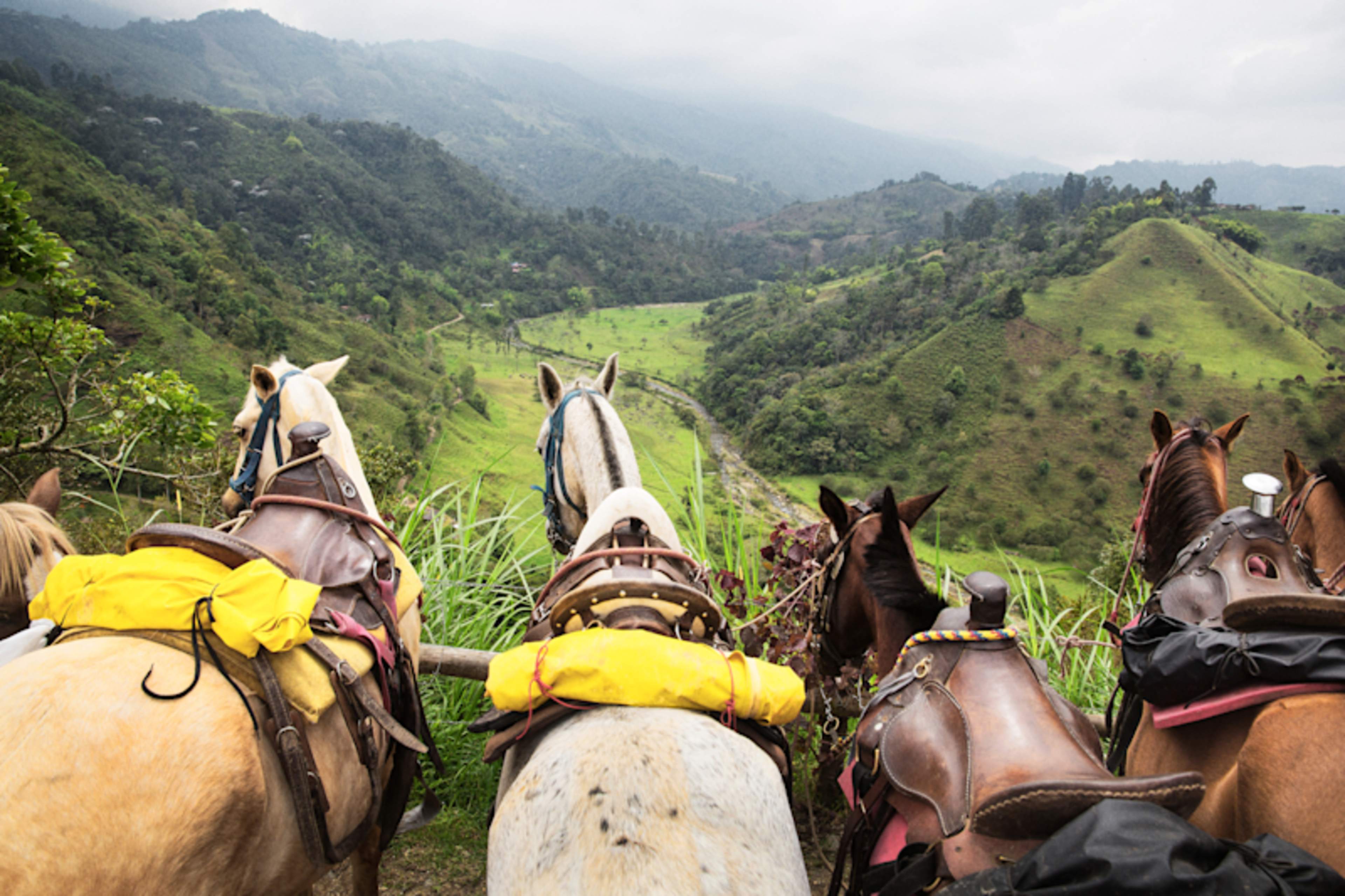 Enchanted Colombia