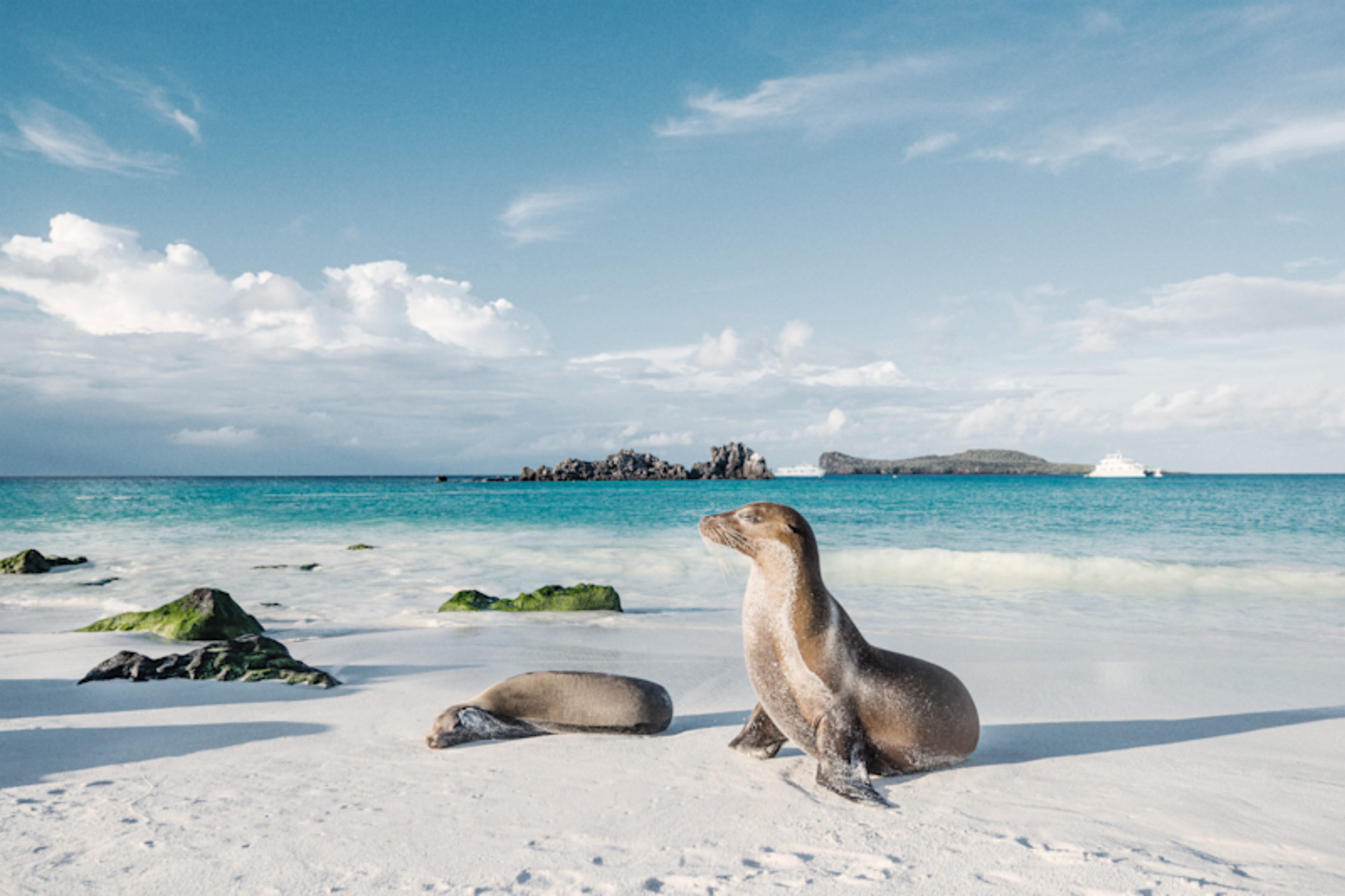 Galapagos Island Escape: Santa Cruz & San Cristobal