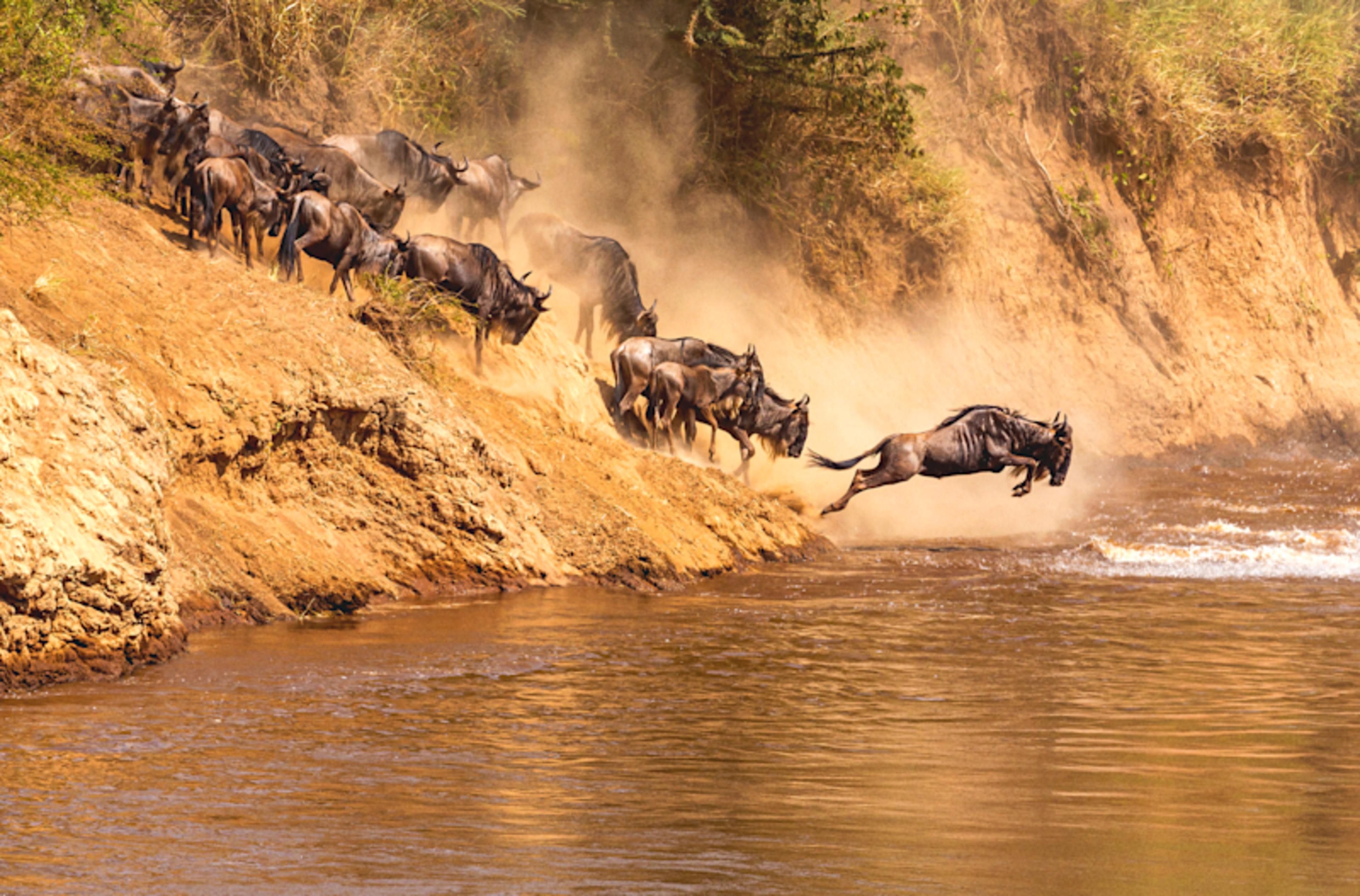 Tanzania’s Great Migration Safari