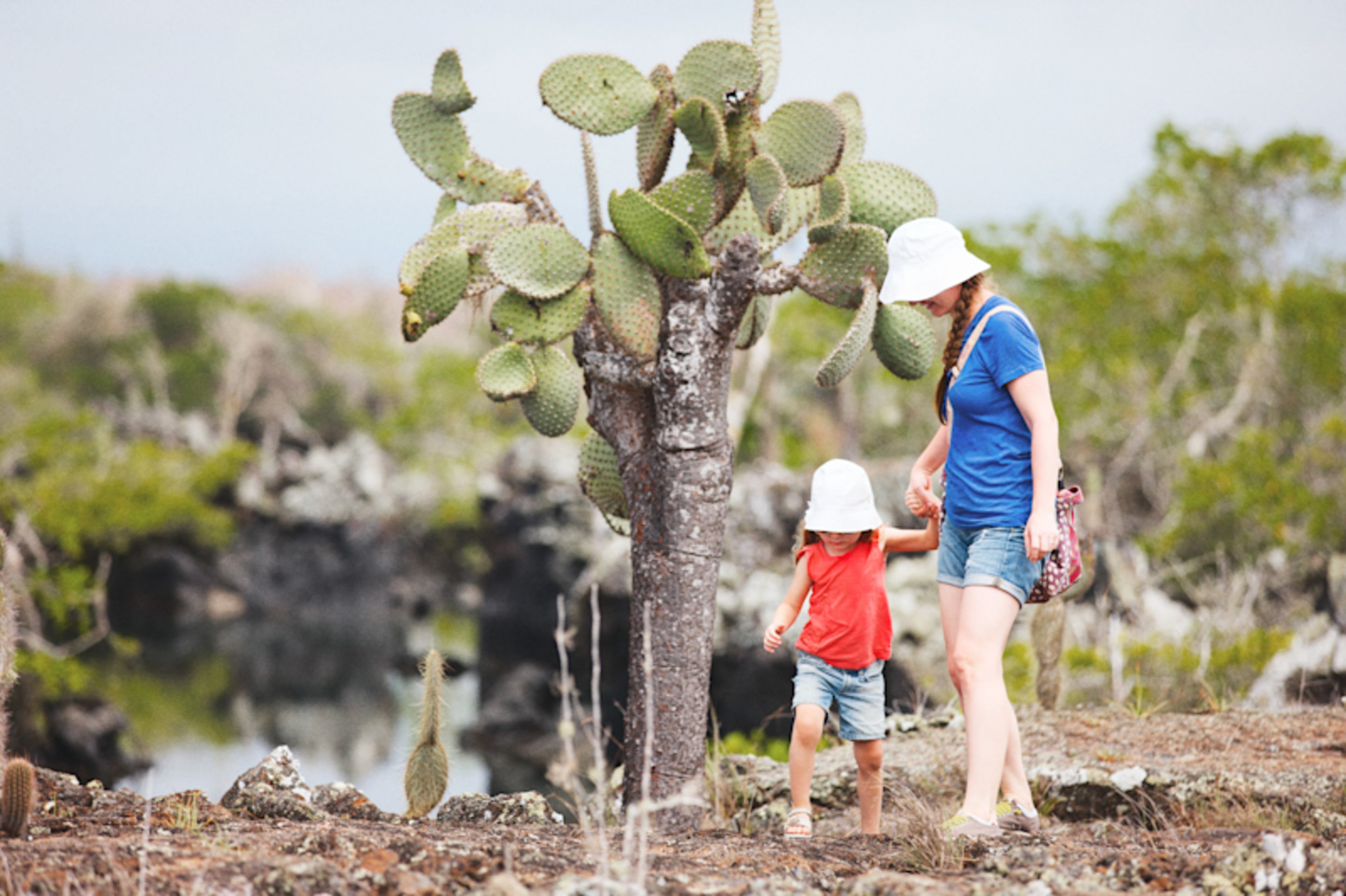 Galapagos Family Cruise: Wildlife & Water Adventures