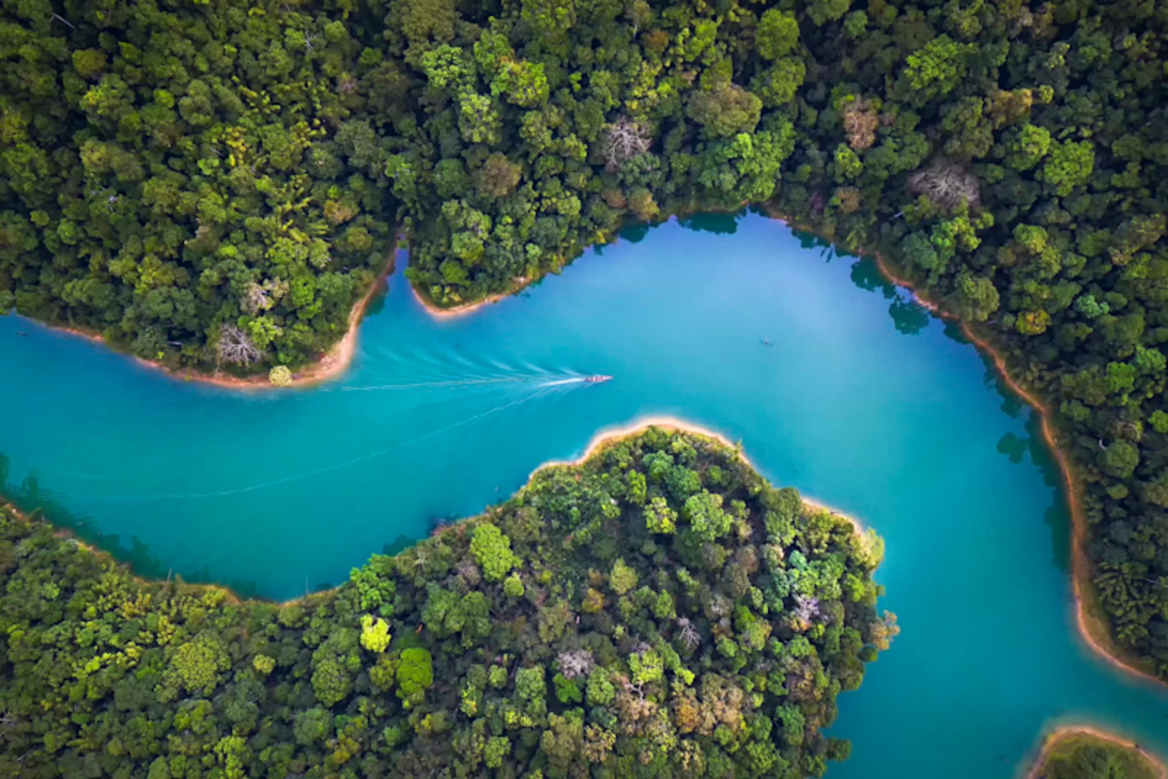 Machu Picchu & Amazon Cruise Exclusive