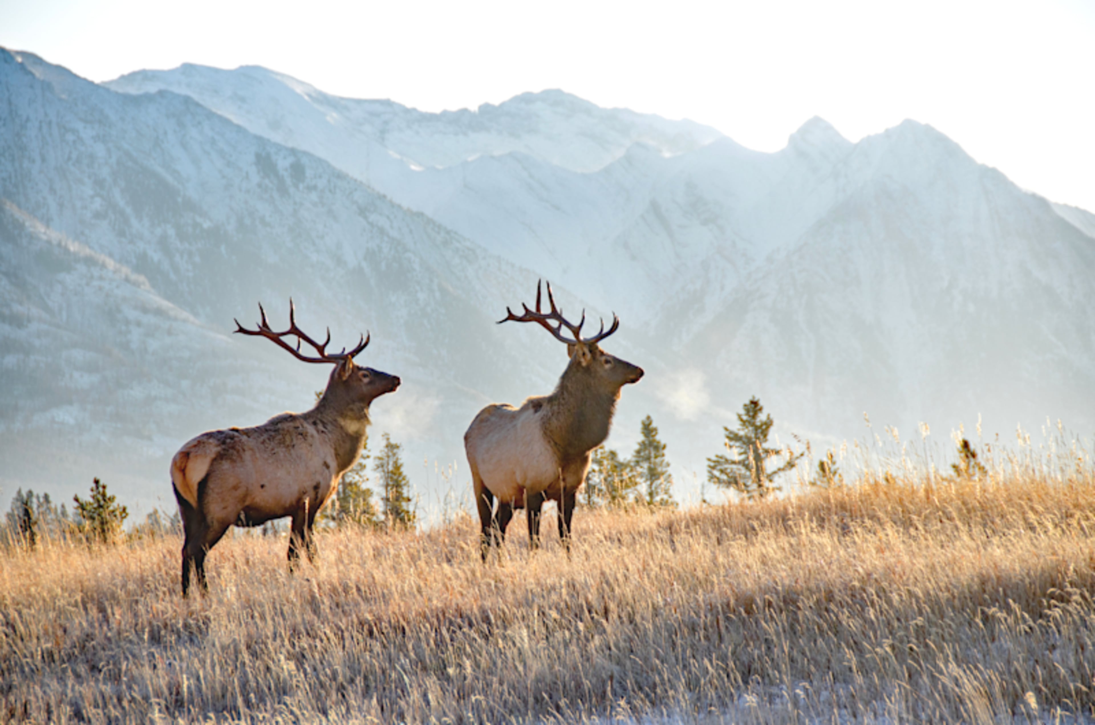 Autumn Self-Drive: Banff & Jasper
