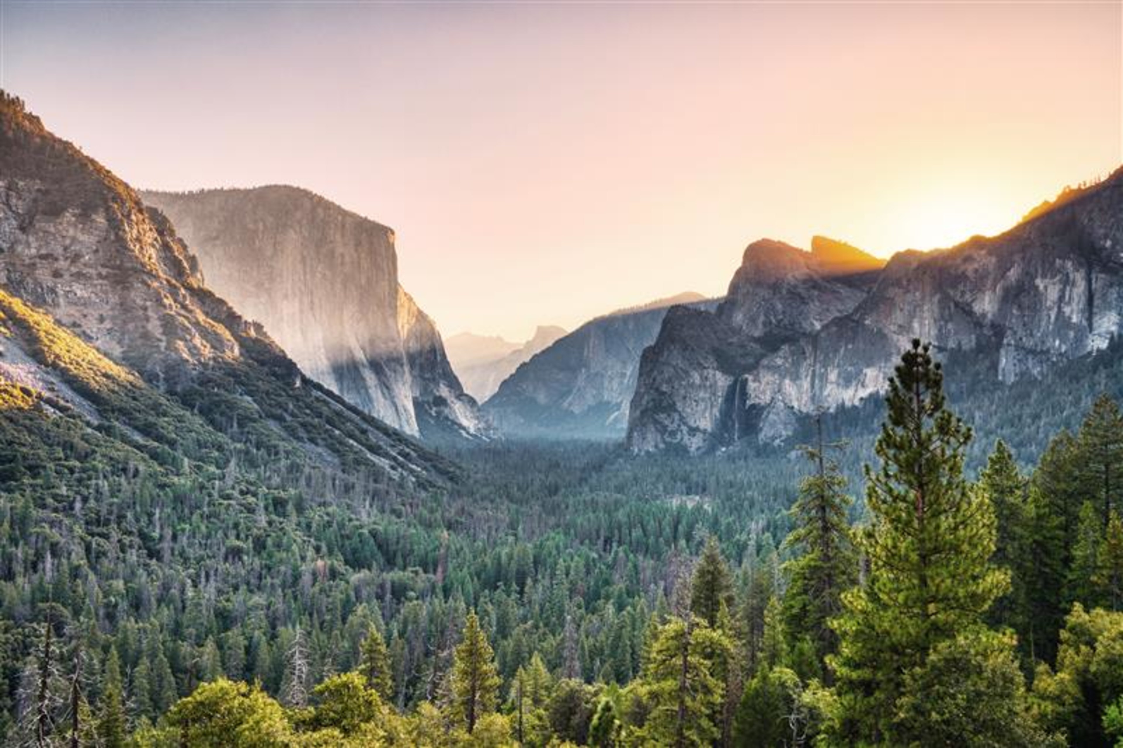 California Icons: San Francisco, Yosemite & Sonoma