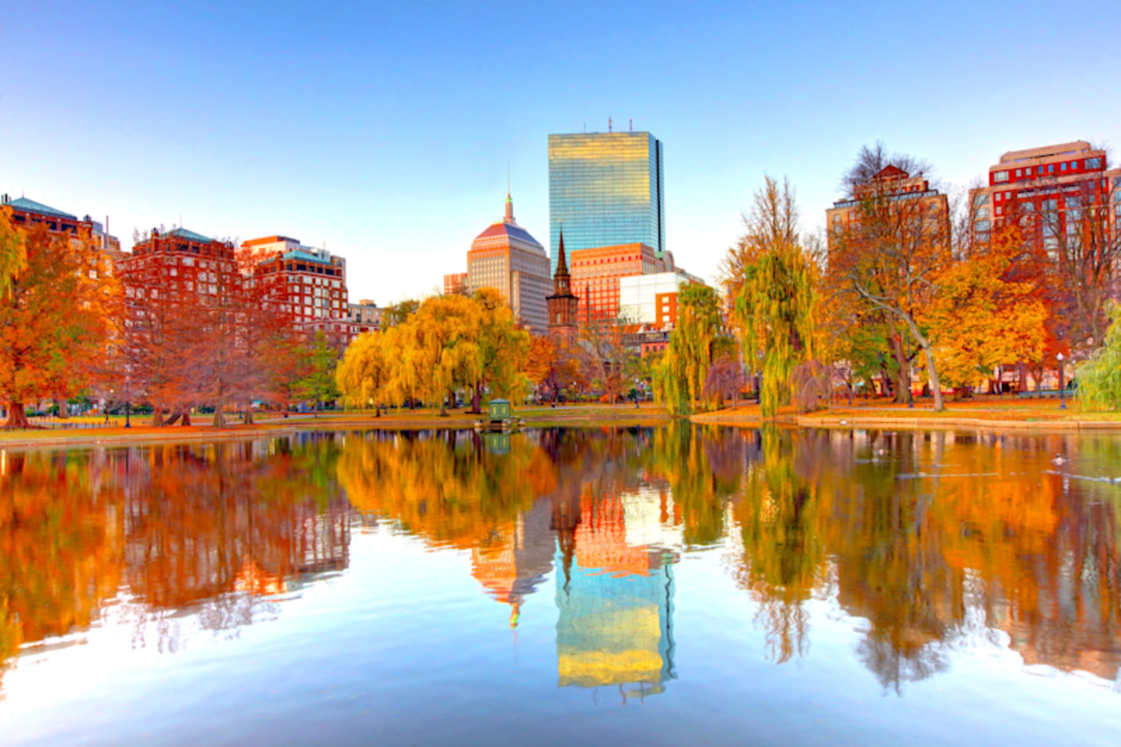 Boston's Fall Colors 