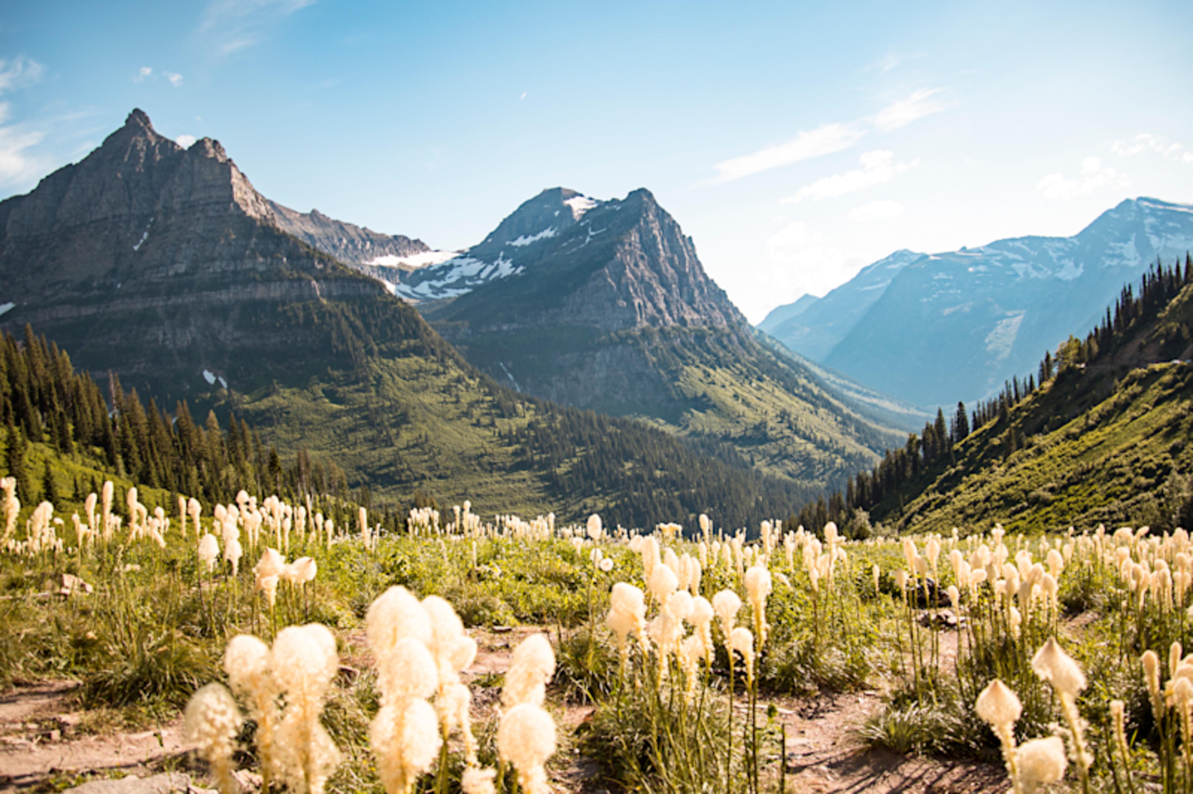 Glacier National Park & Montana's Wilds
