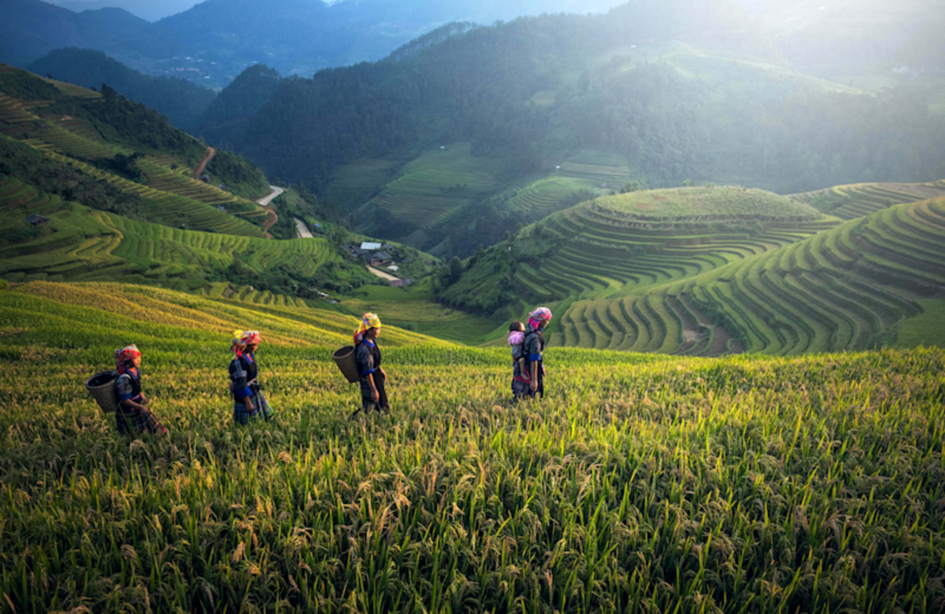 Want to build an itinerary from scratch?