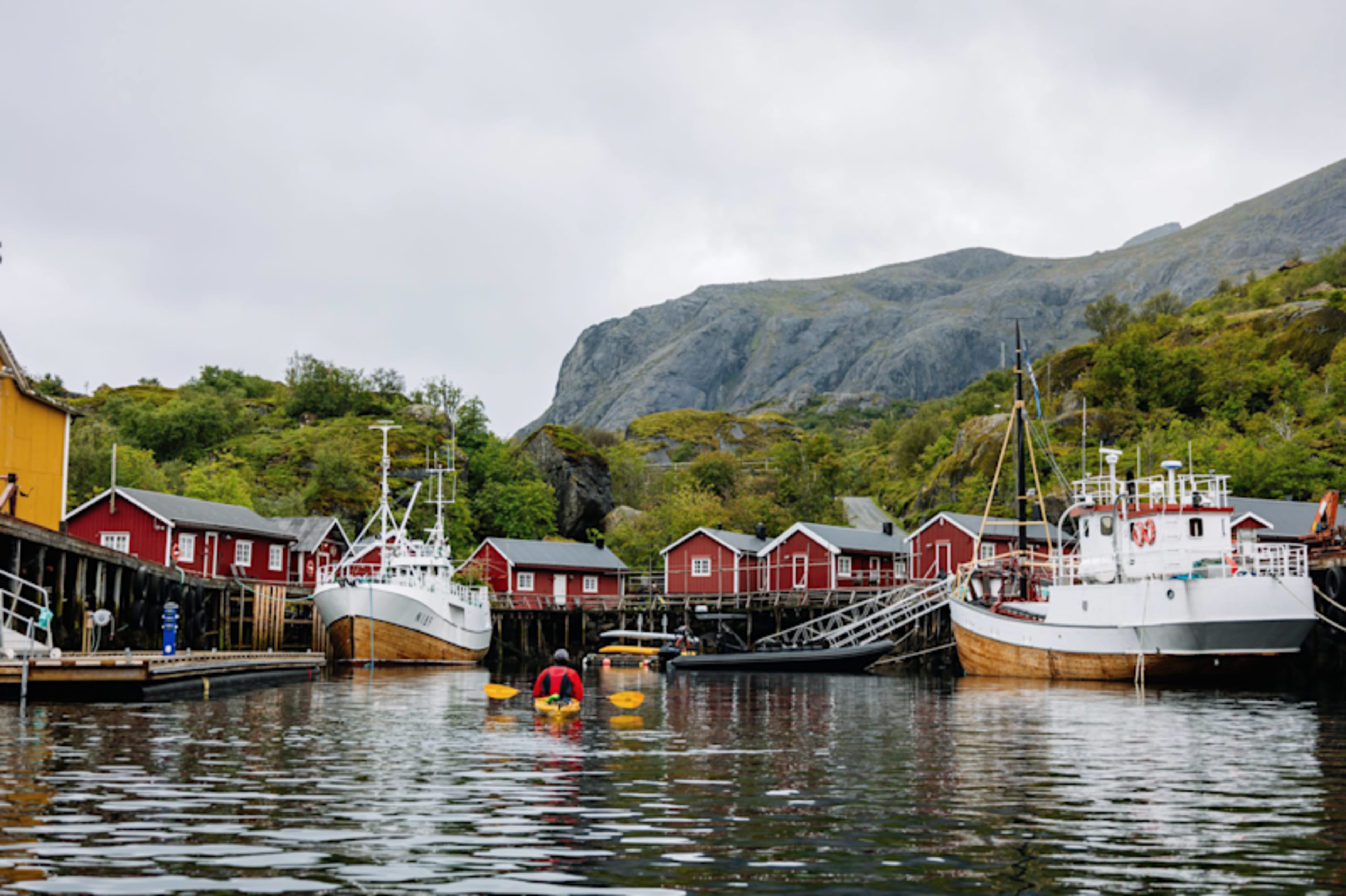 Arctic Summer Days & Lofoten's Wild Coast