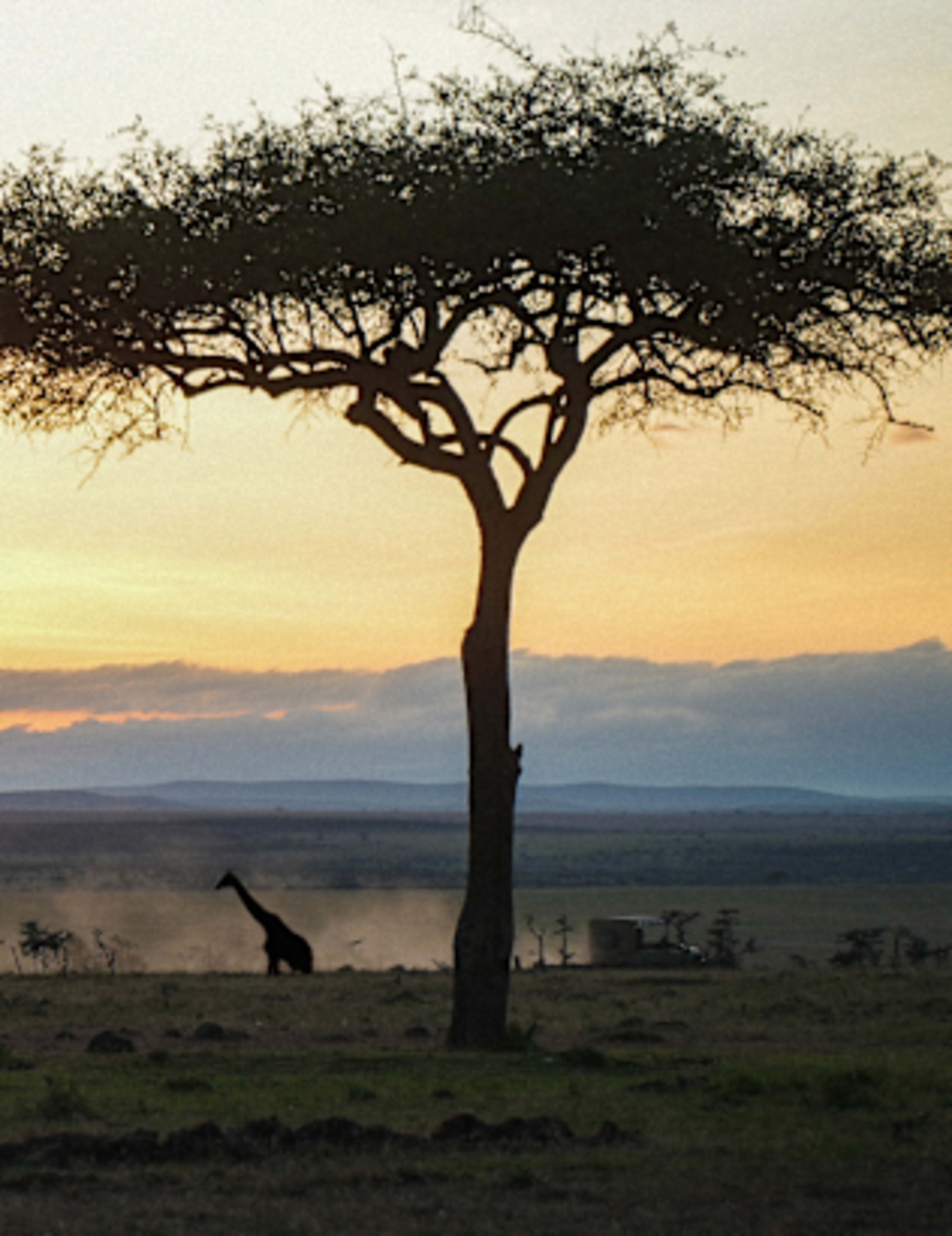 Kensington Reaffirms Commitment to Travel Advisors with Relaunched Advisor Appreciation Campaign Offering Up to $250 Per Booking with an Additional Incentive on Select Bookings 