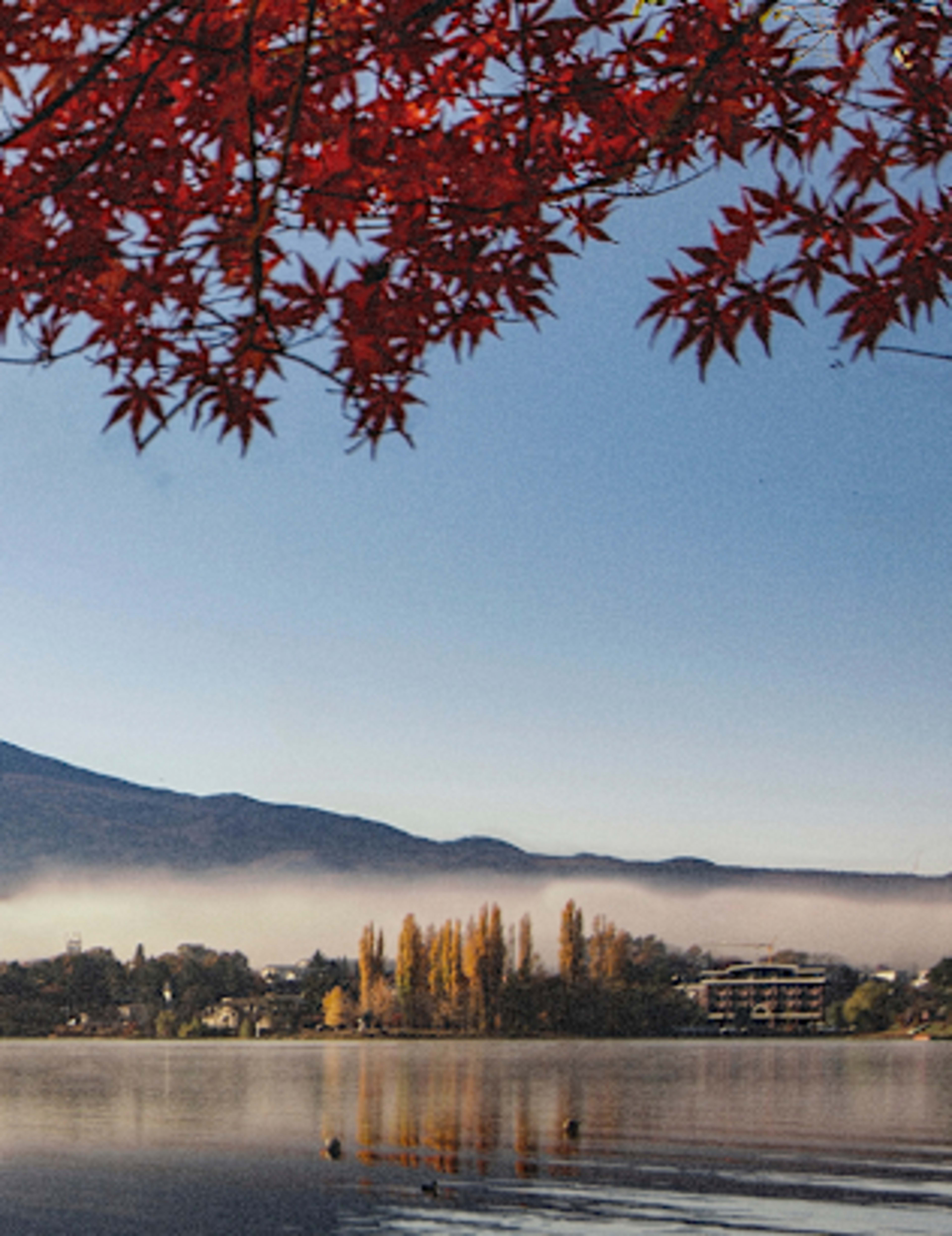 The Best Time to Visit Japan