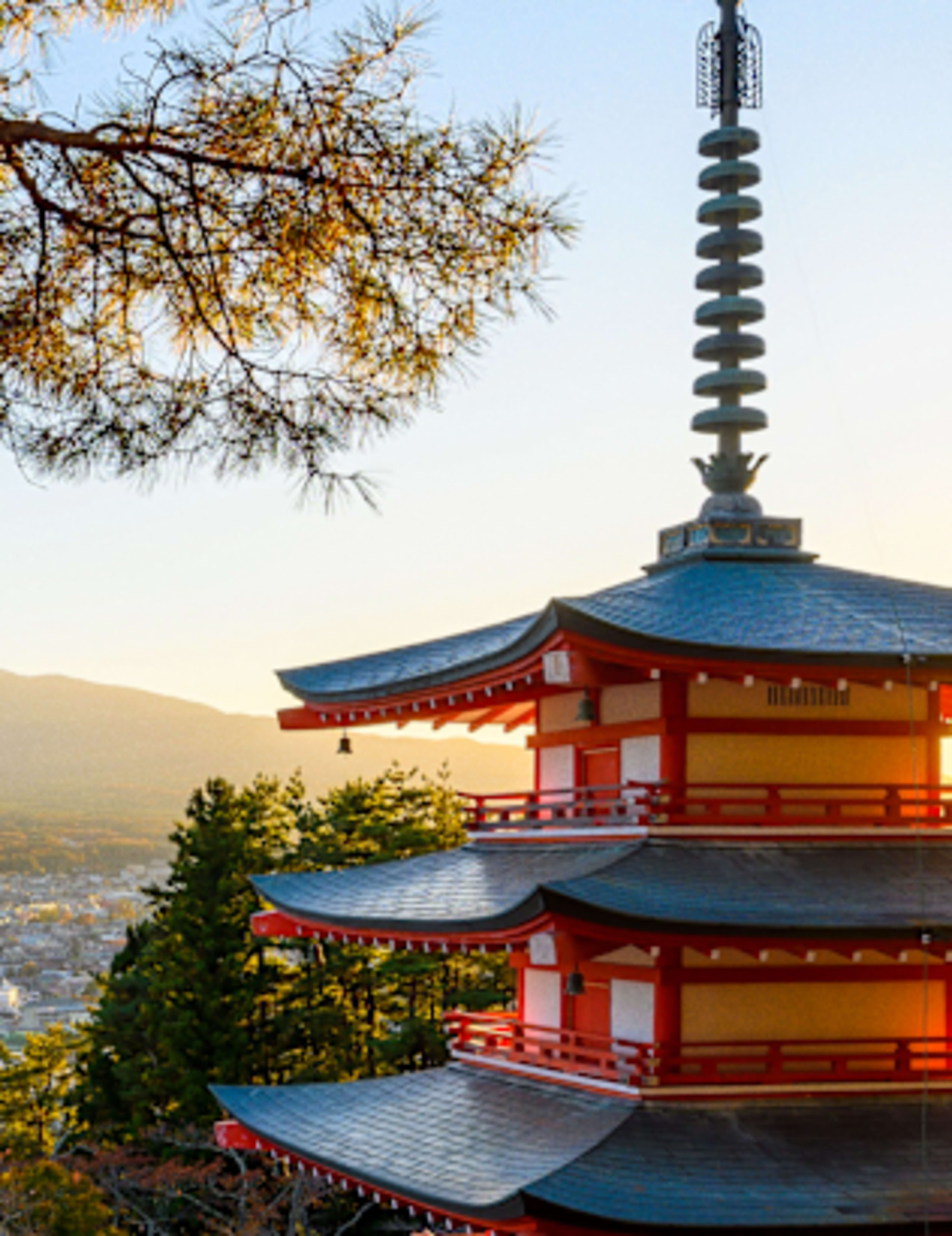 What to Do in Japan: Culture, Cuisine & Beyond the Highlights  