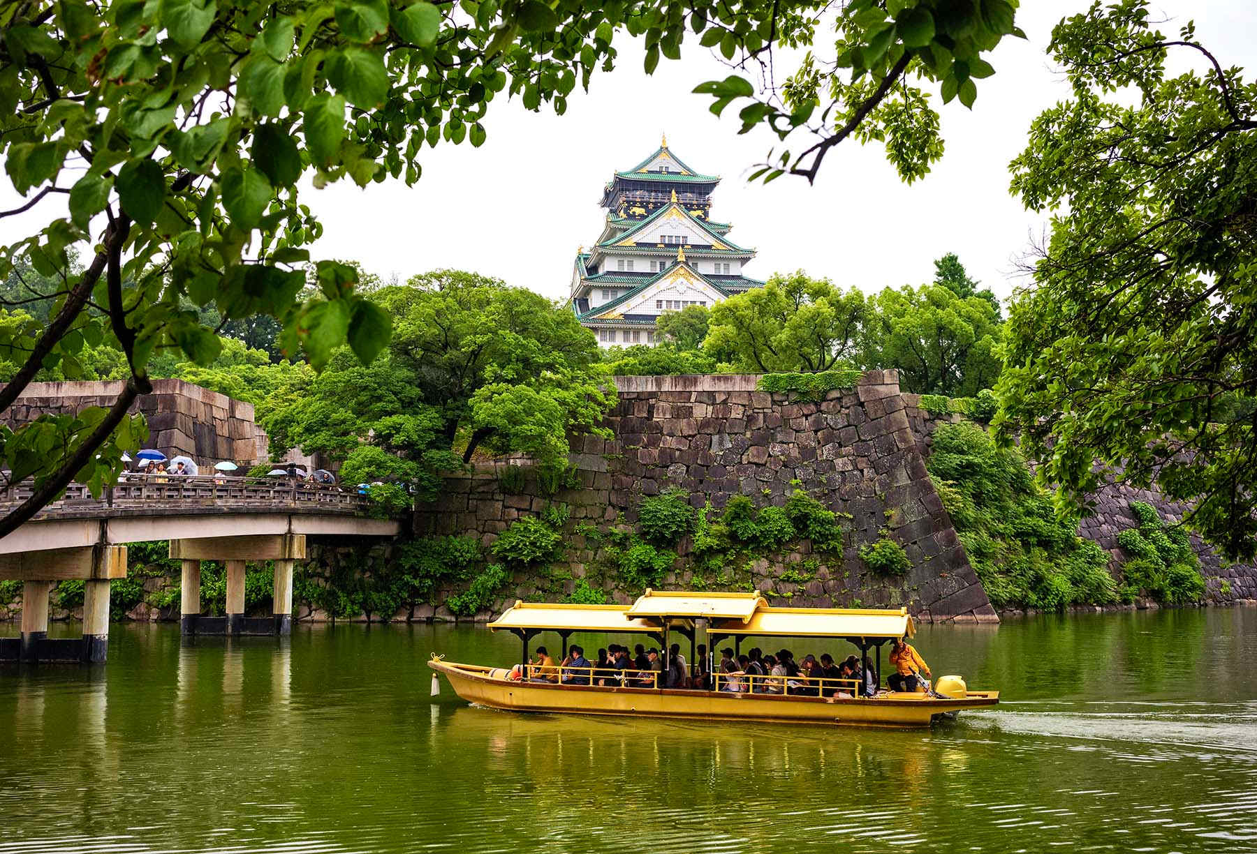 Everything You Need to Know about Shore Excursions - Range Travel