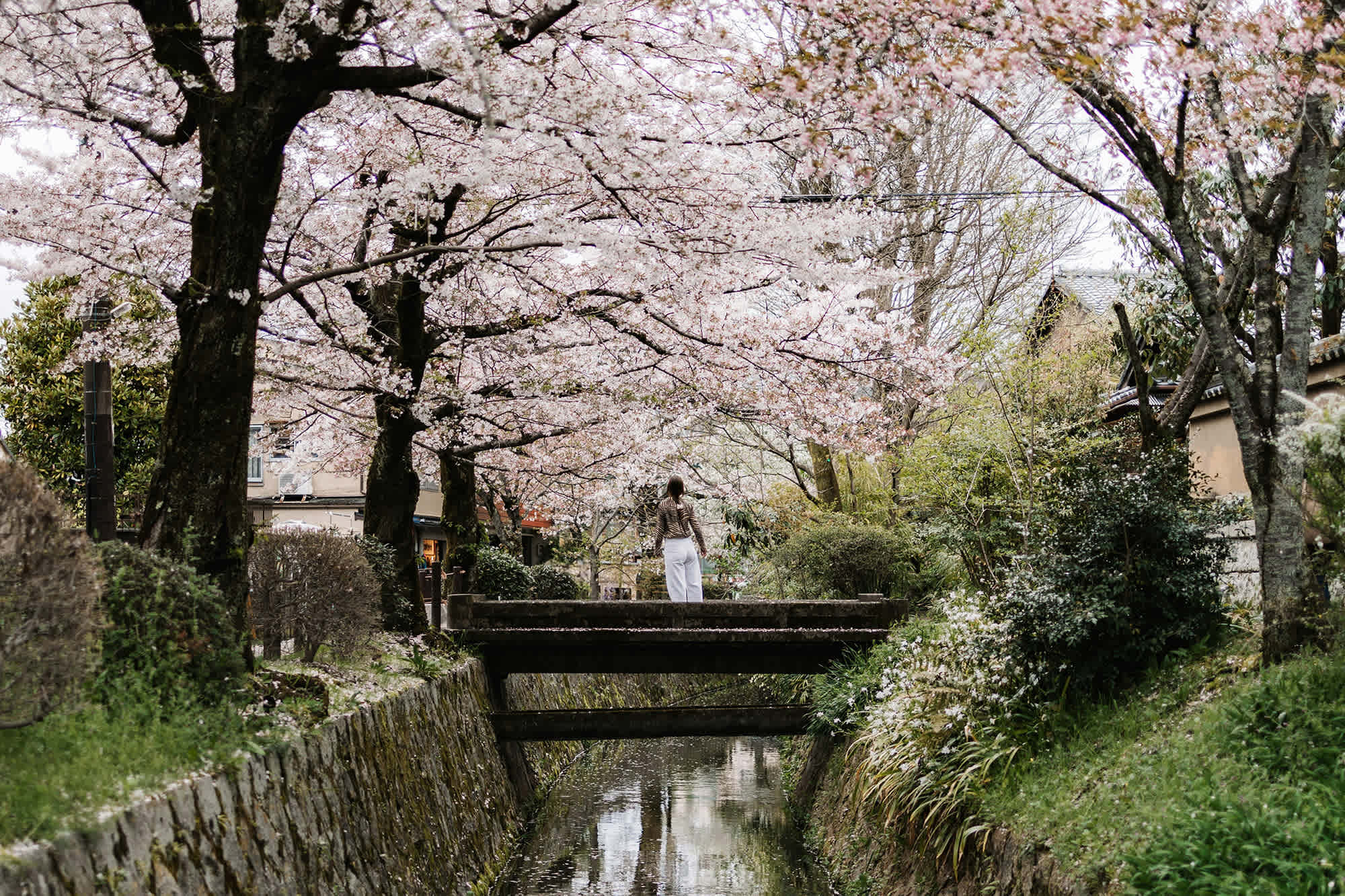The Best Time to Visit Tokyo - Range Travel
