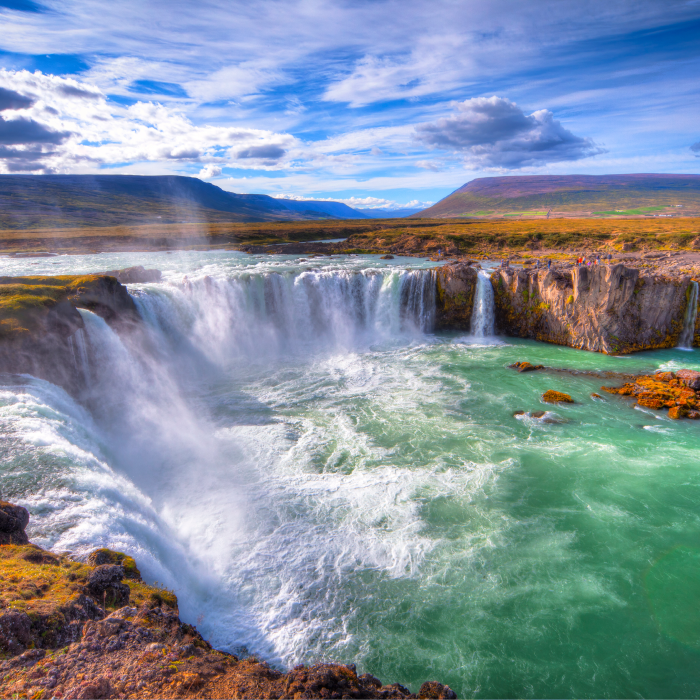 Iceland: Wildlife & Arctic Coast