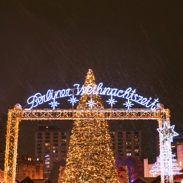 Family Holiday: German Christmas Markets & Castles 