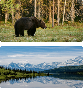 Luxury Inside Passage: Alaska & Canada  