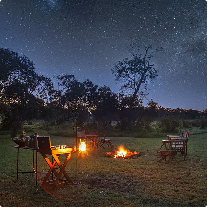 Ultimate Kenya Safari: Rare Species & Starry Nights