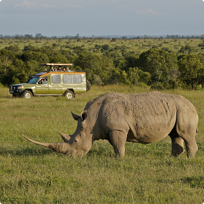 Northern Kenya Safari: Off-the-Beaten-Path Adventure 