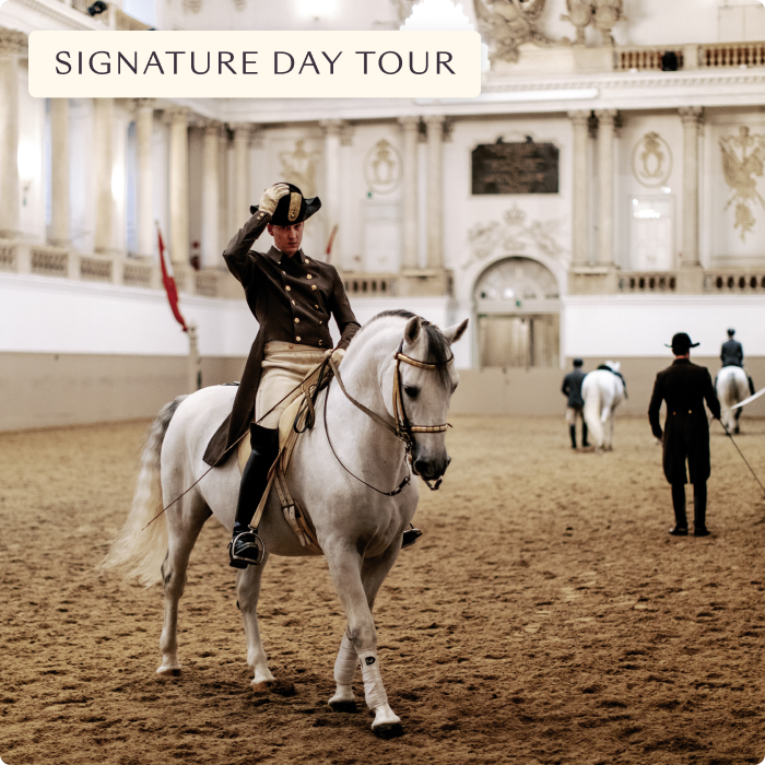 Vienna: Sisi’s footsteps walking tour & Spanish riding school