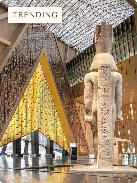 Ancient Pyramids & Big Five Safari