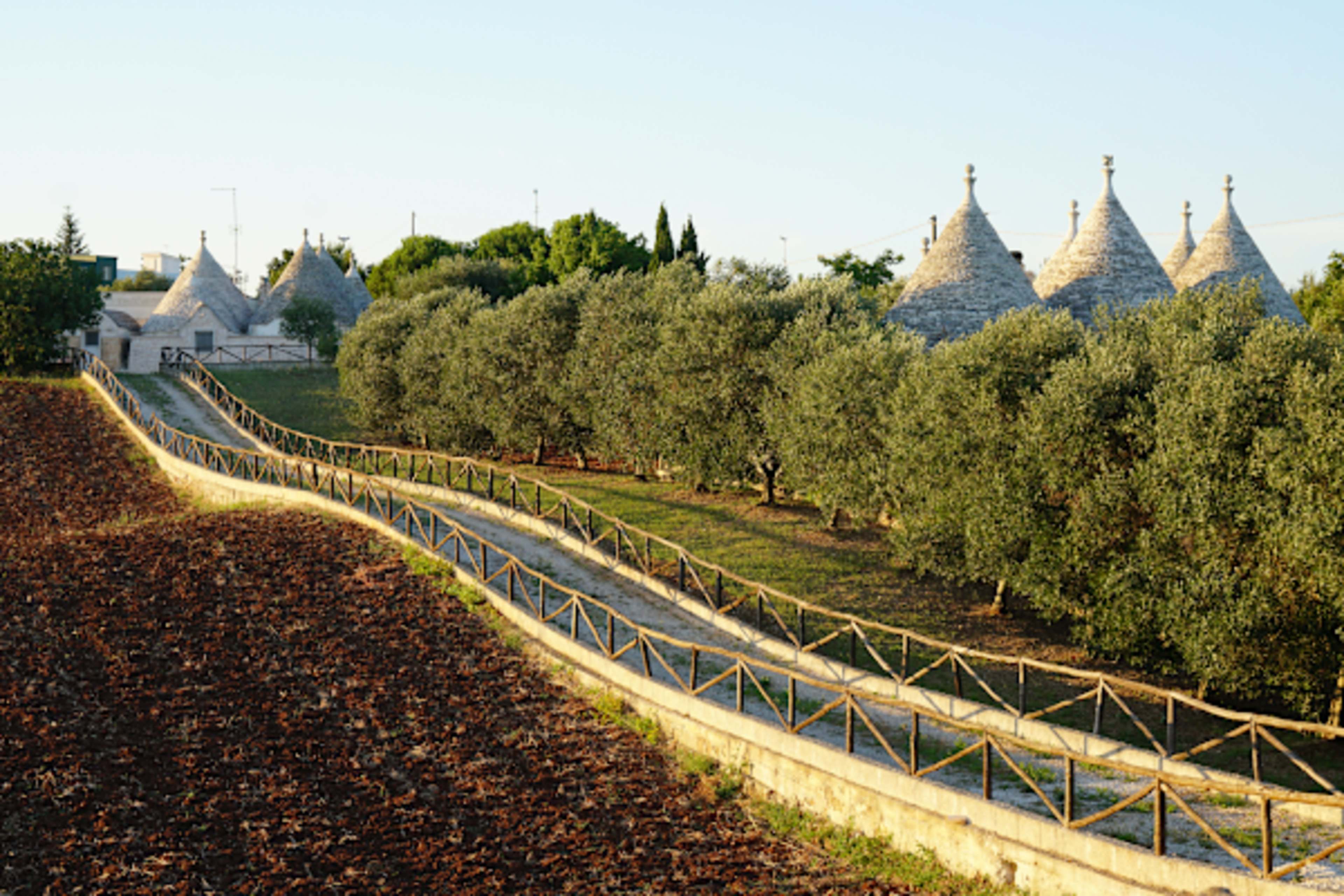 7-Day Private Puglia Road Trip