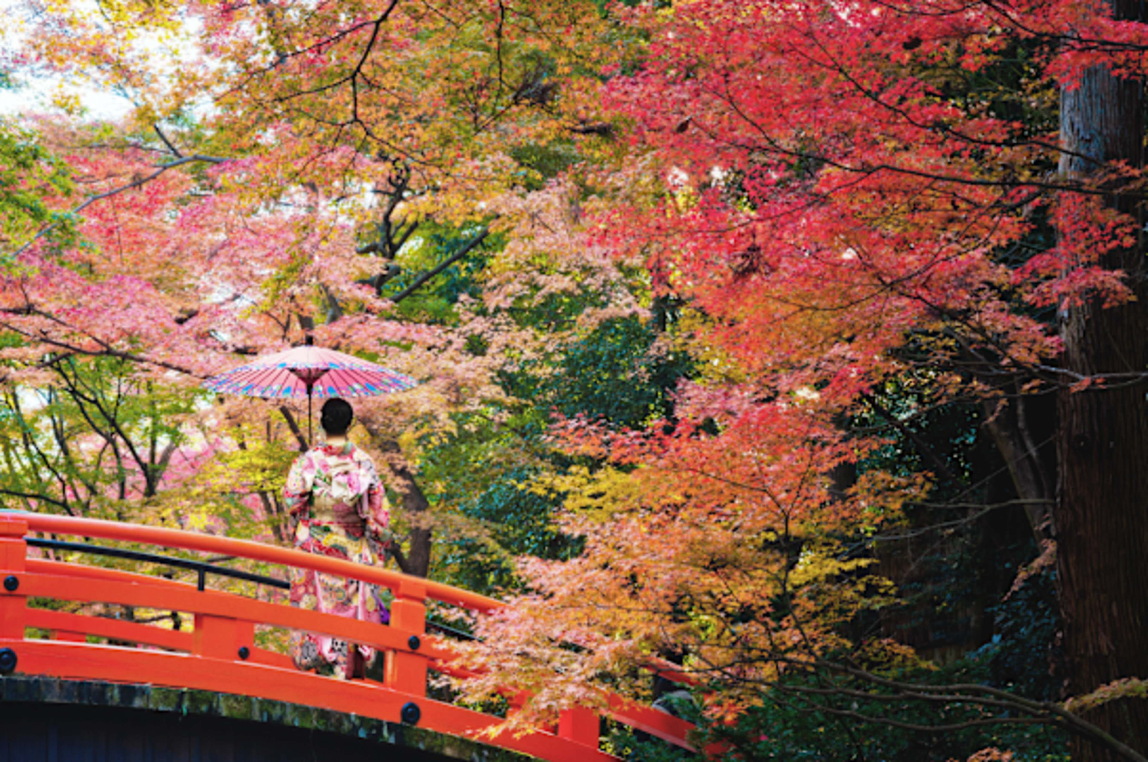 Japan's Fall Colors & Cultural Highlights