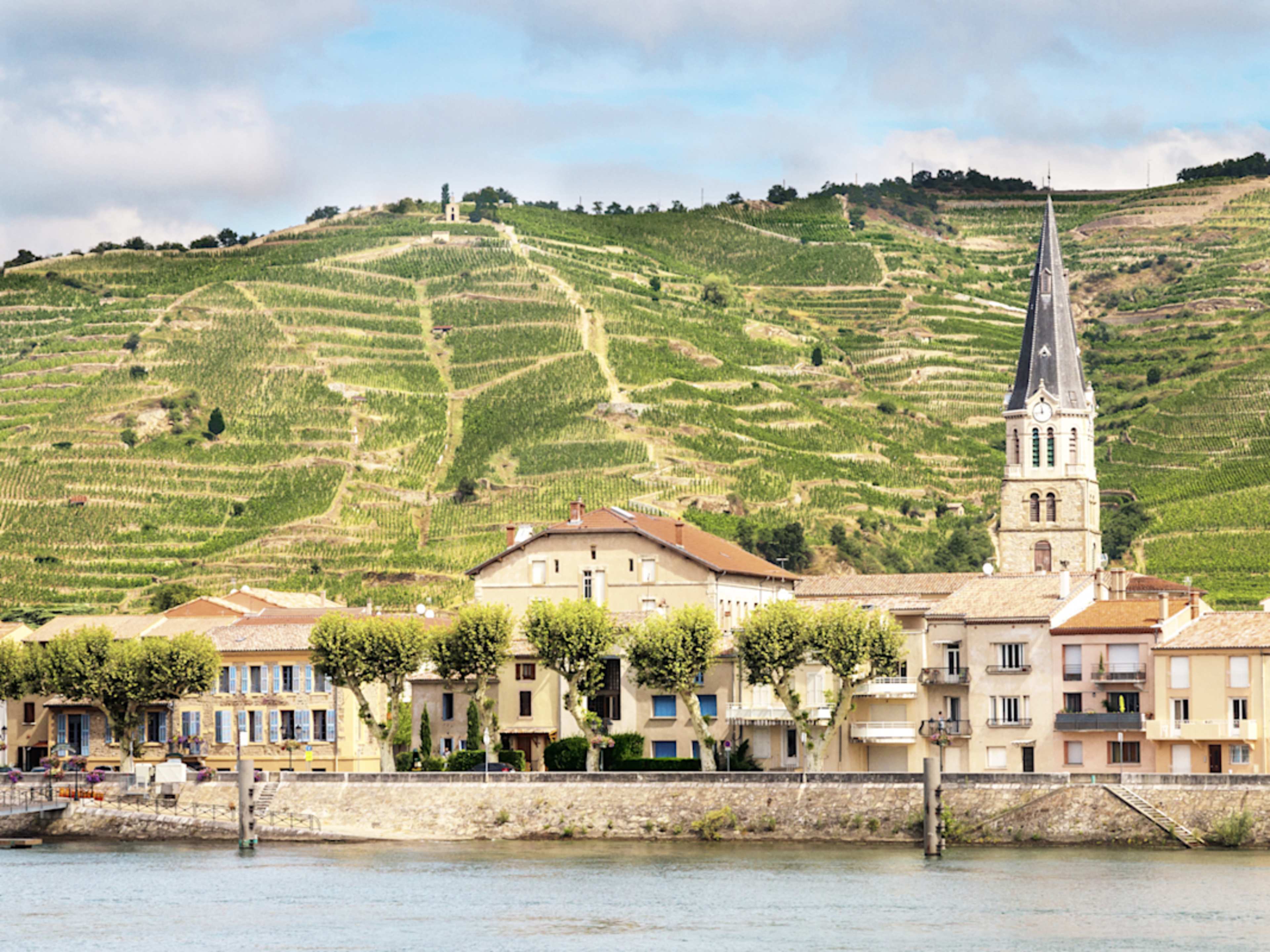 Burgundy & Provence along the Rhone