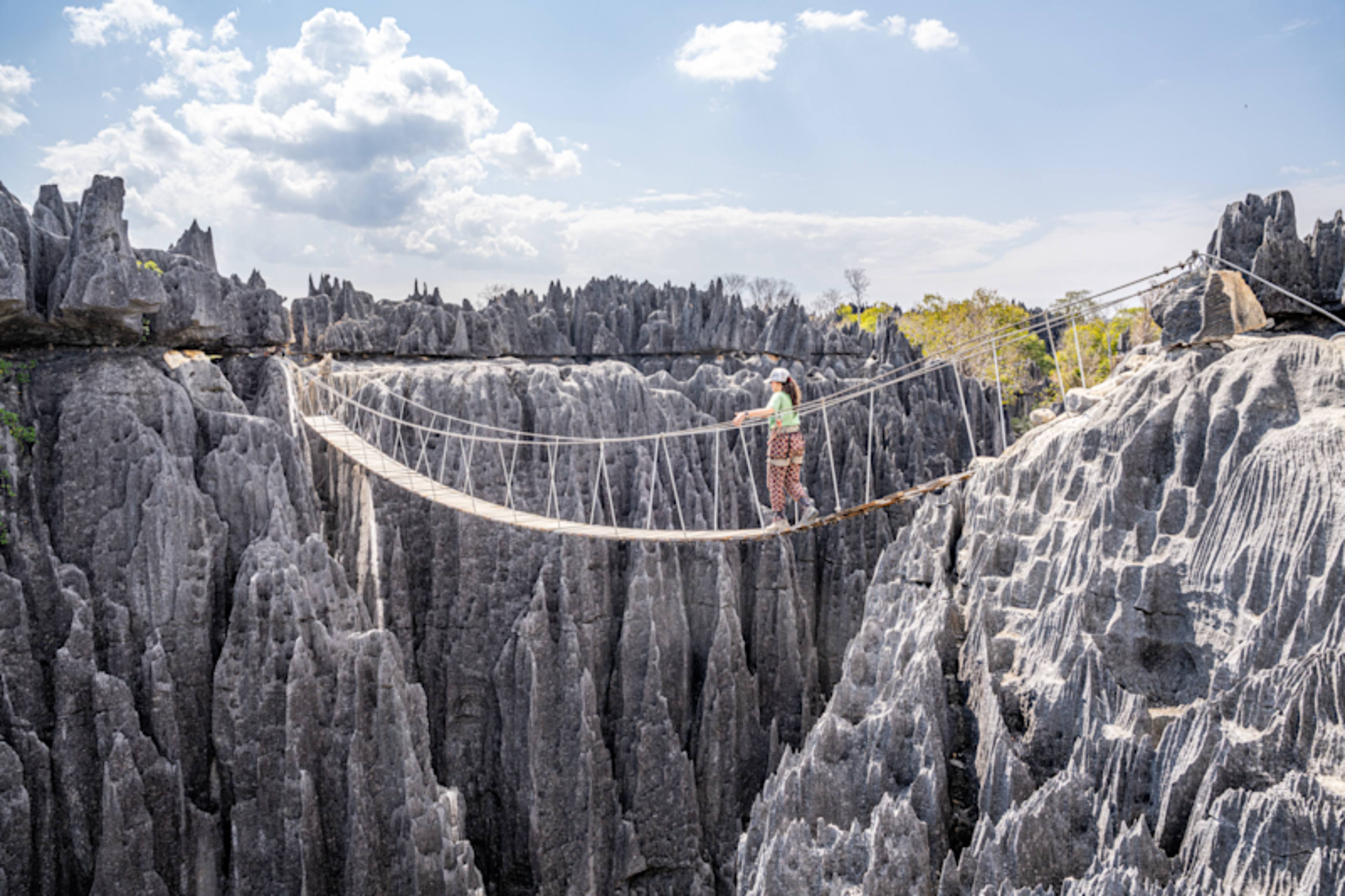 Madagascar's Outer Limits