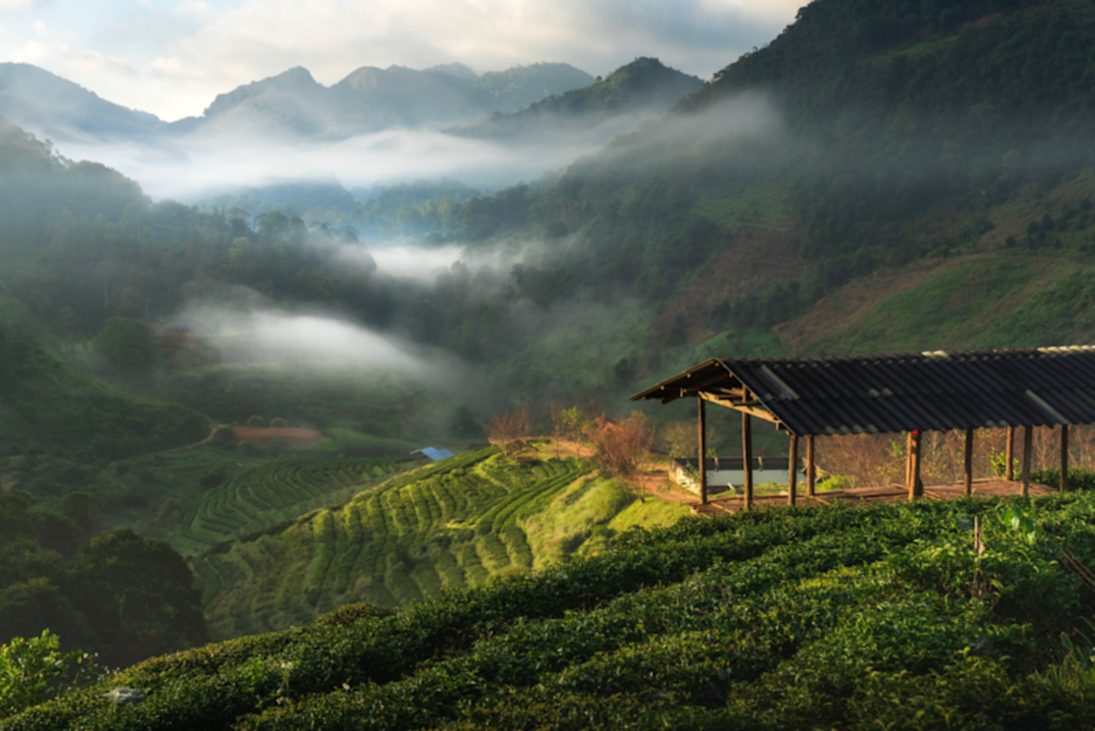 Northern Thailand & Highland Discovery