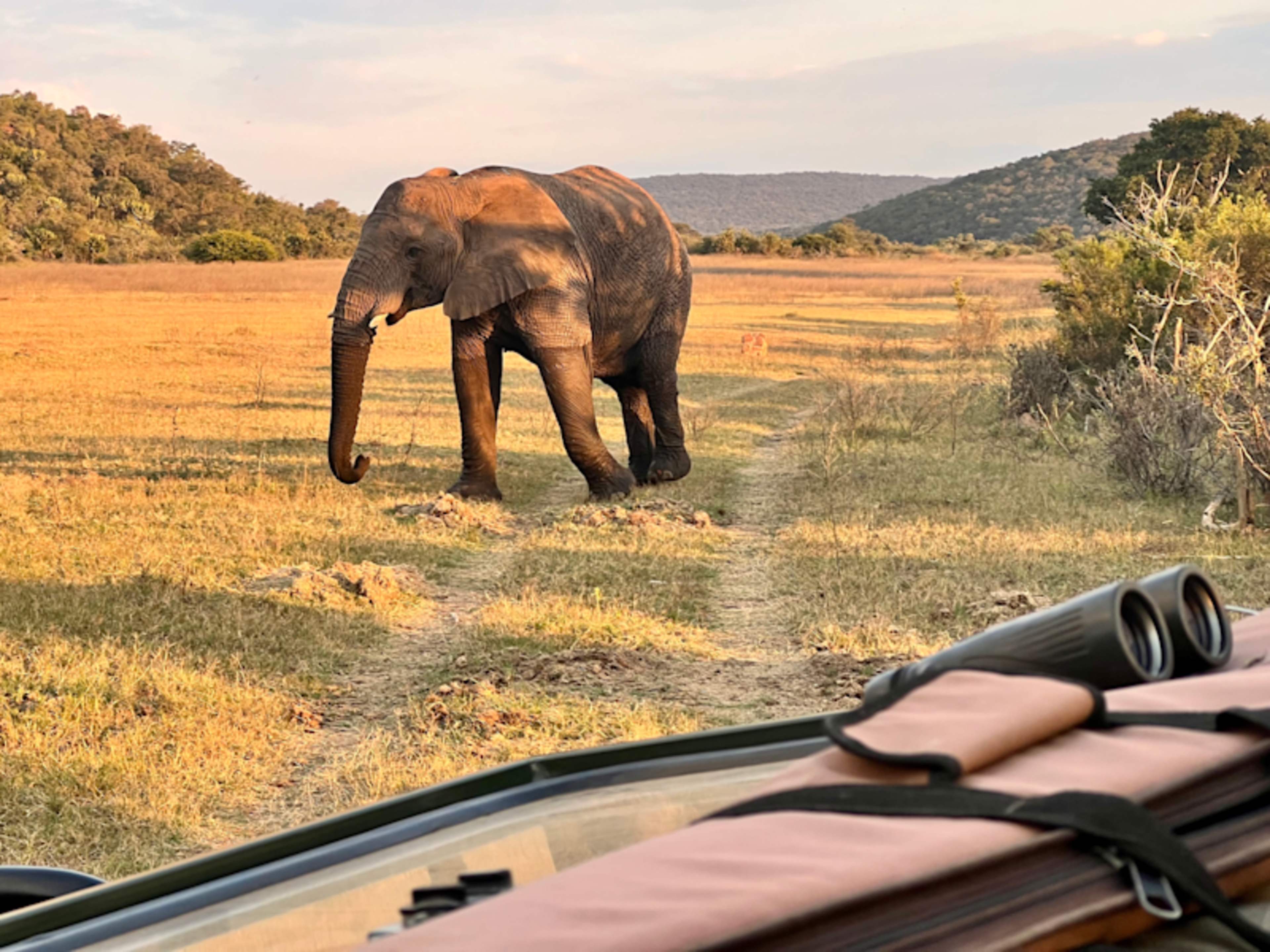 Classic Cairo & South Africa Safari 